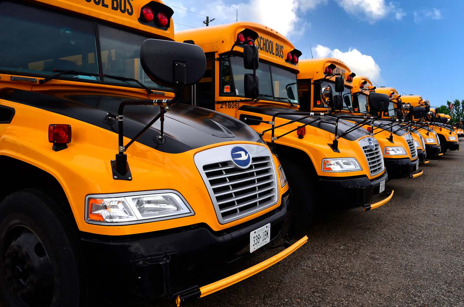 A line of yellow school buses parked nose to tail