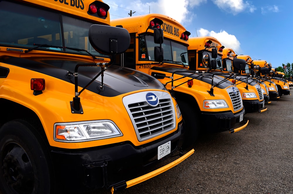 yellow school bus on road during daytime