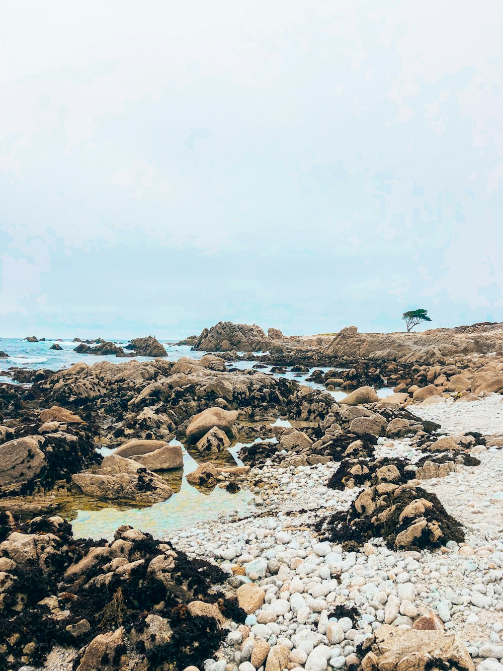 brown rocks on beach during daytime