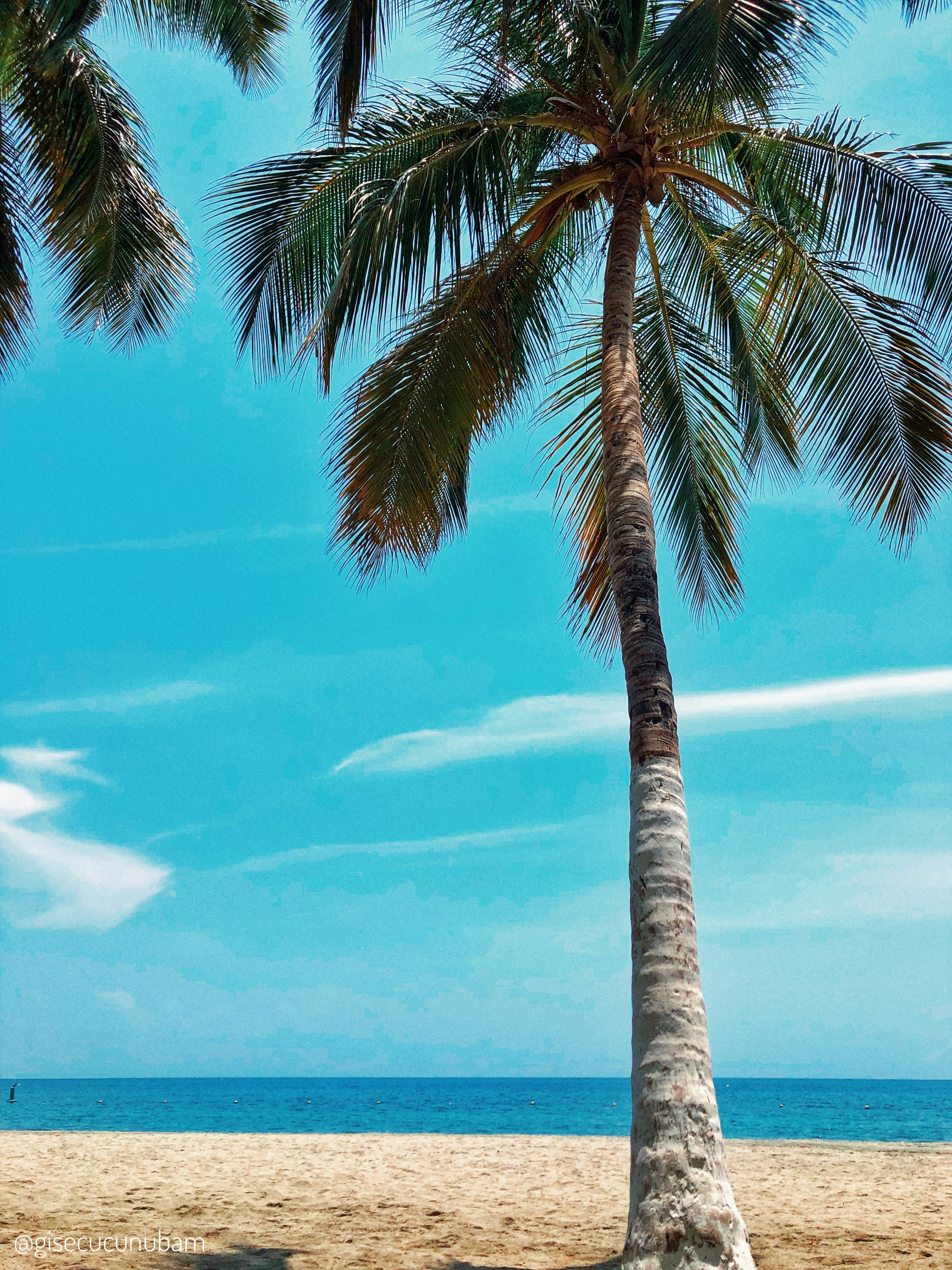 Photo by gisecucunubam