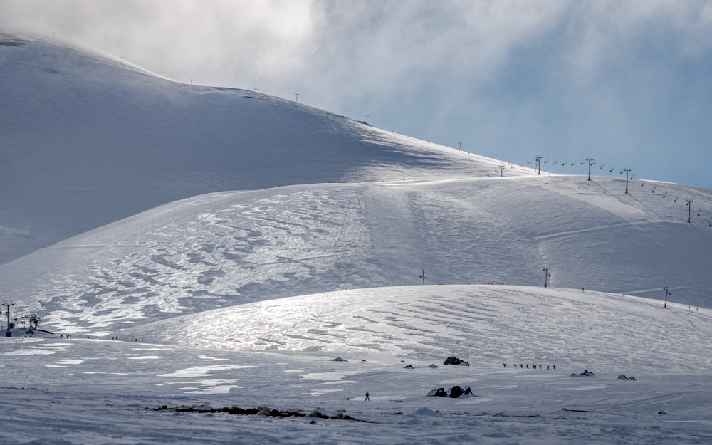 people walking on white sand during daytime