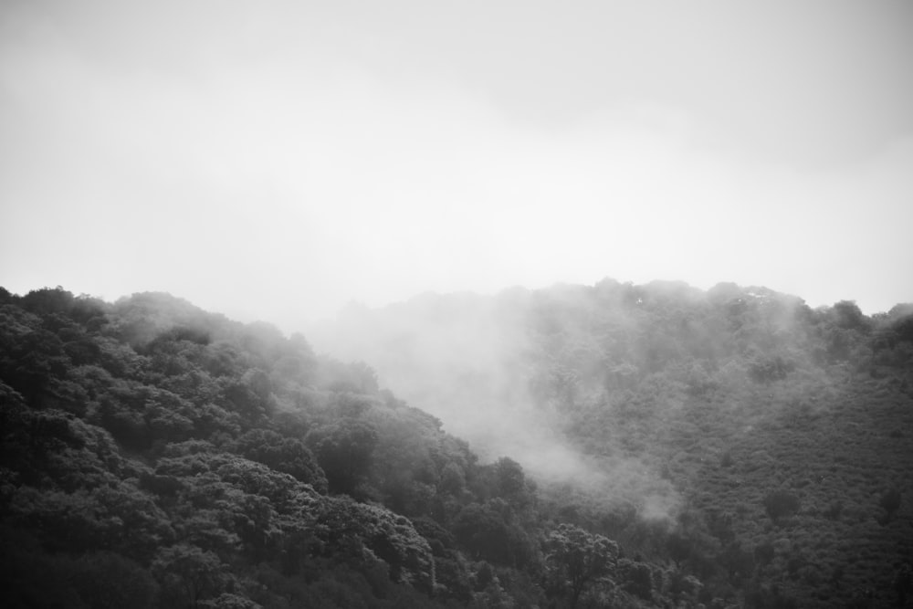 gray and black mountain covered with white fog