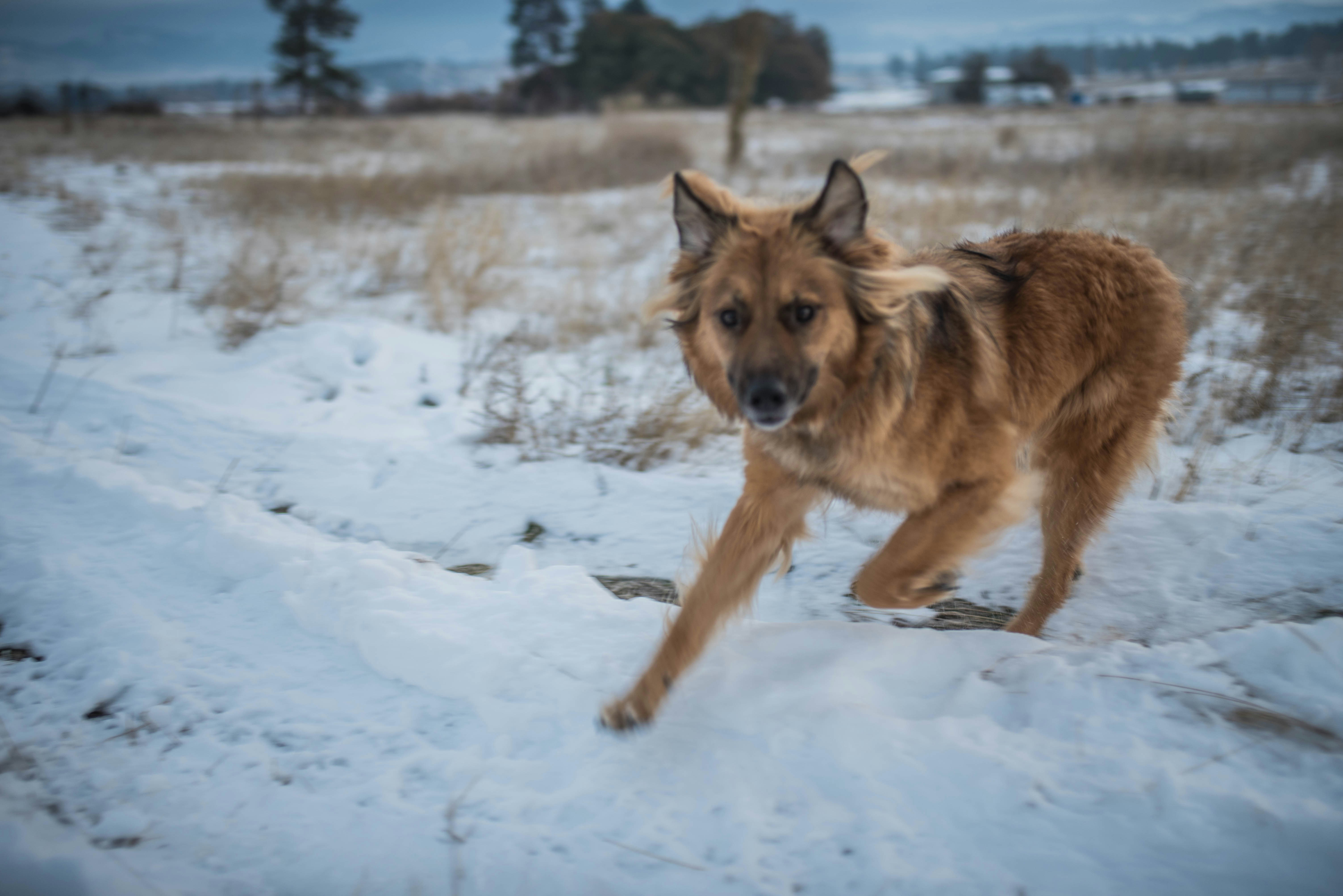 Photo by cortney_chummoungpak