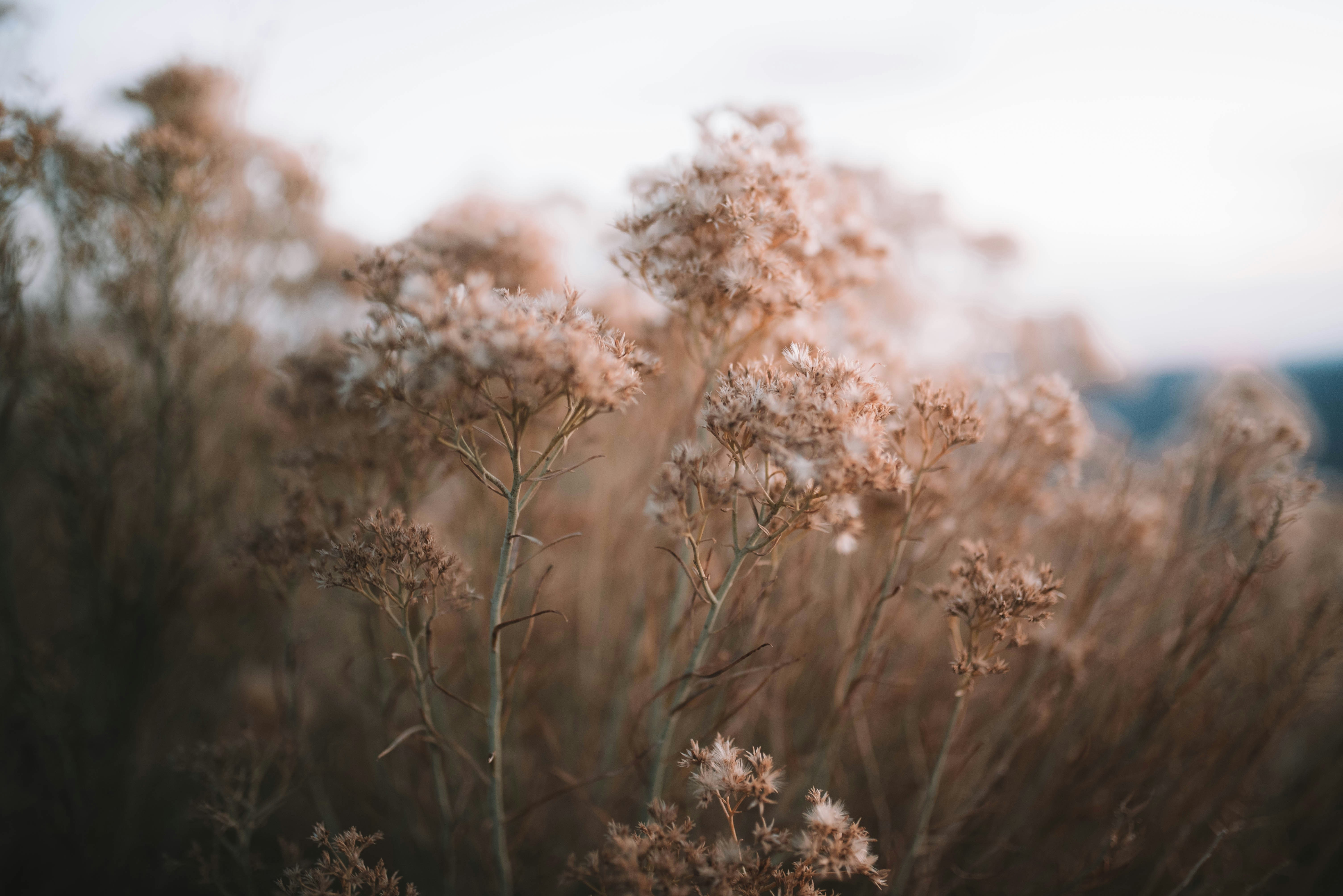 Photo by cortney_chummoungpak