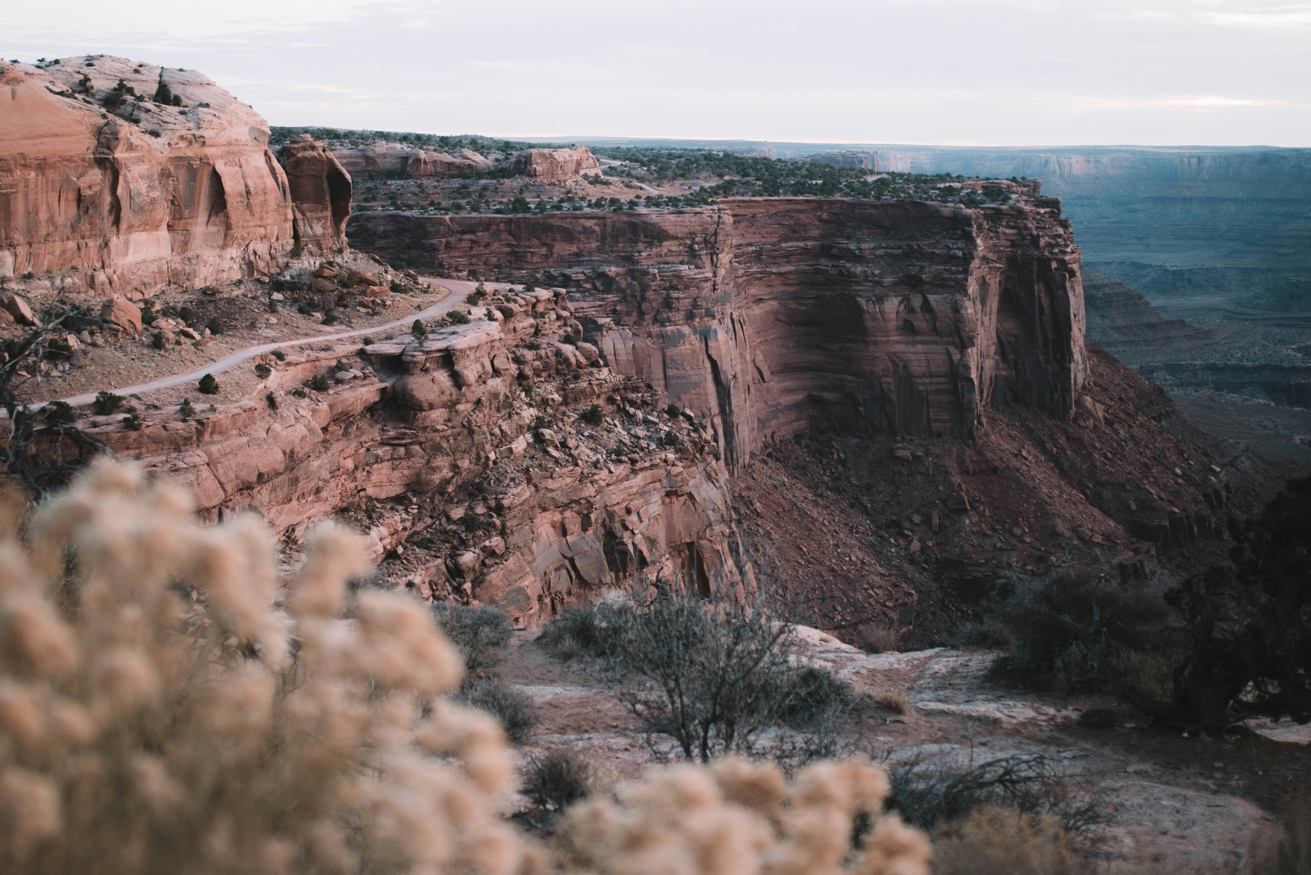 Photo by cortney_chummoungpak