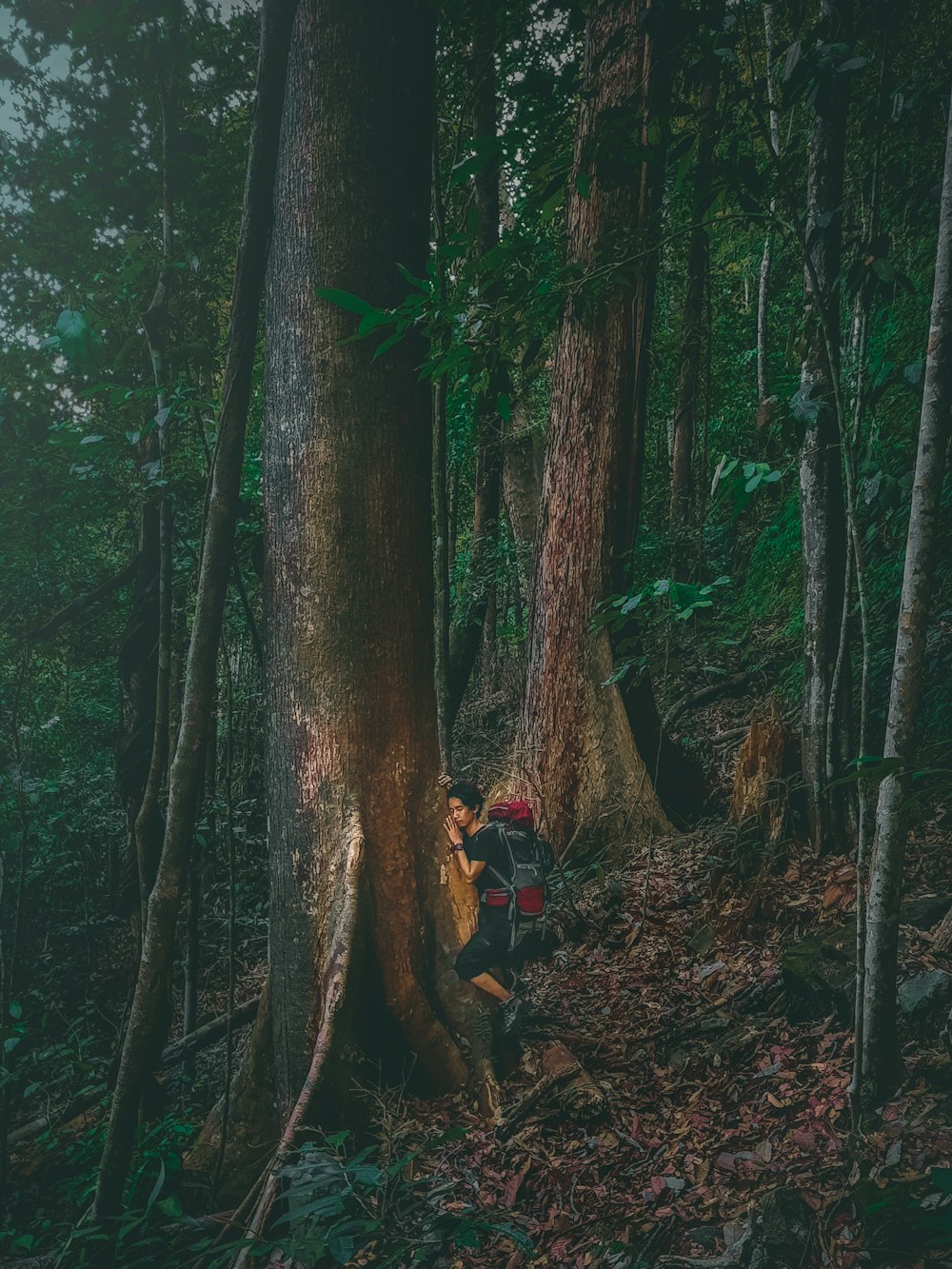 person in black jacket sitting on brown tree trunk during daytime