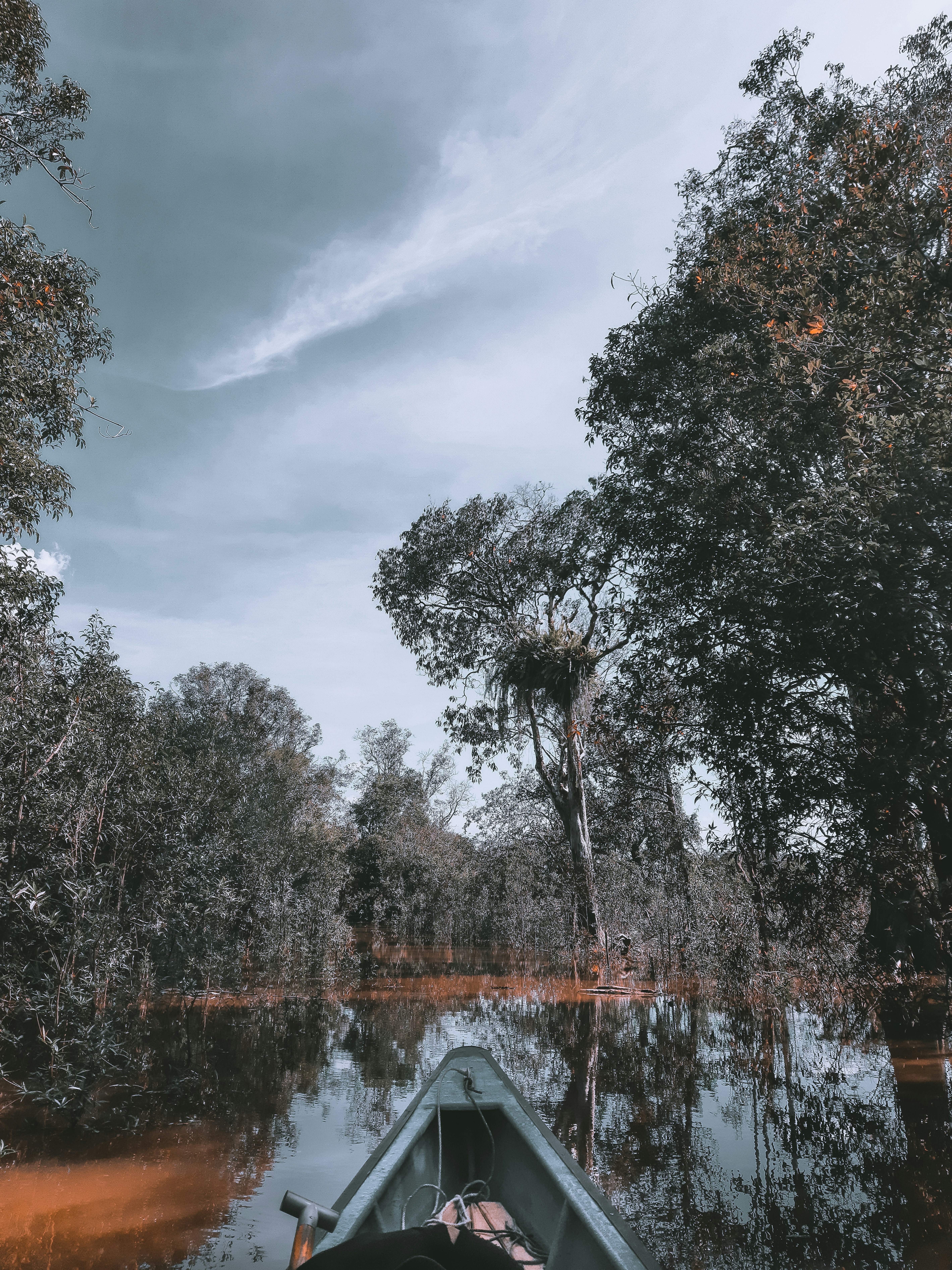 Photo by matacokelat