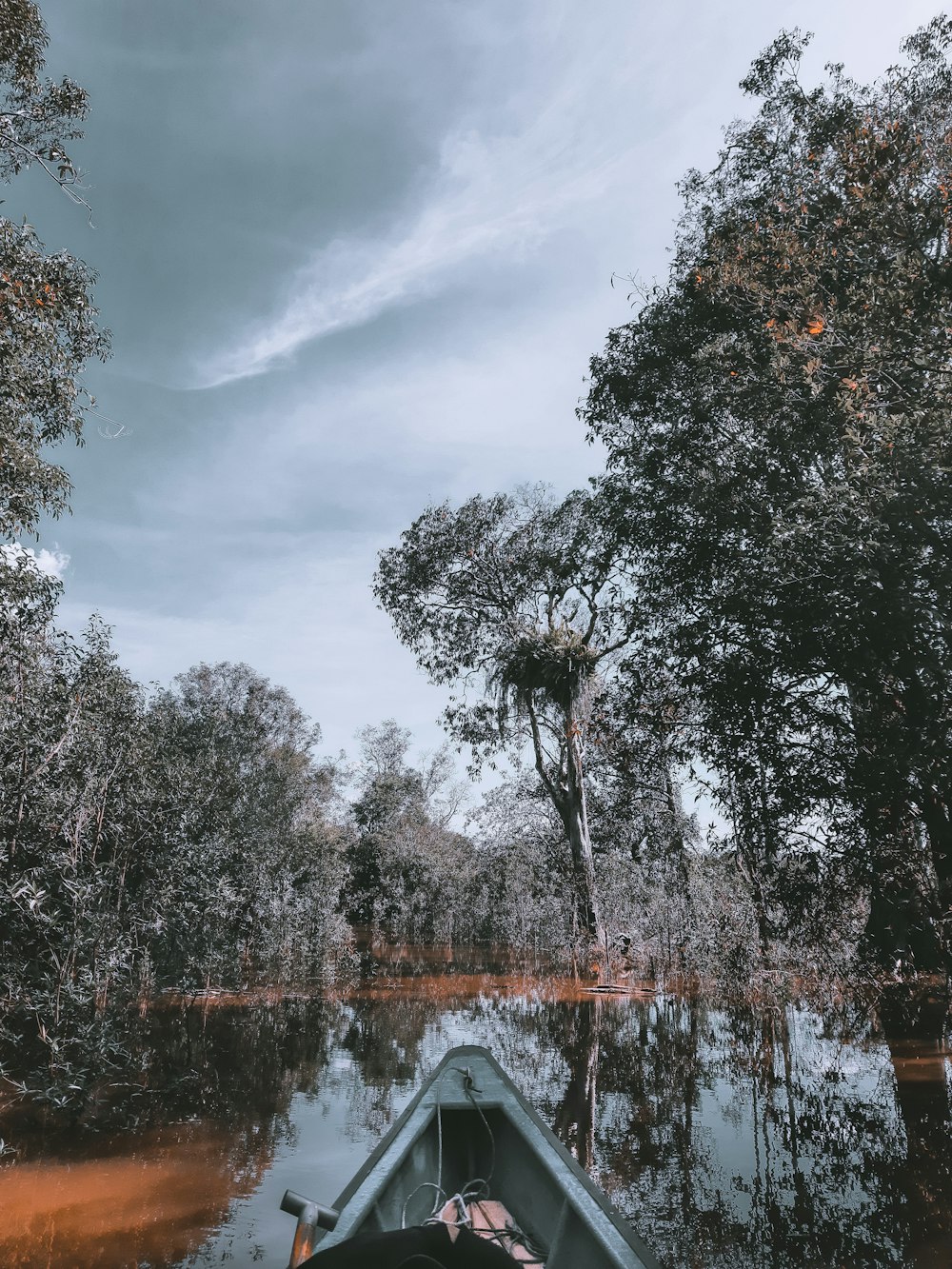 green trees beside river under cloudy sky during daytime