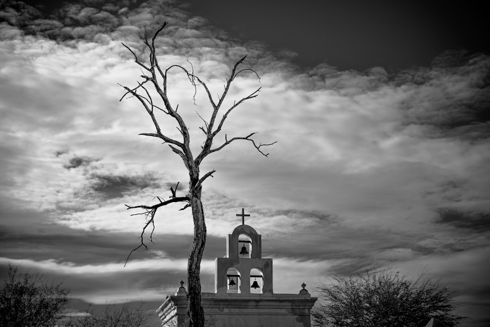 grayscale photo of bare tree near church