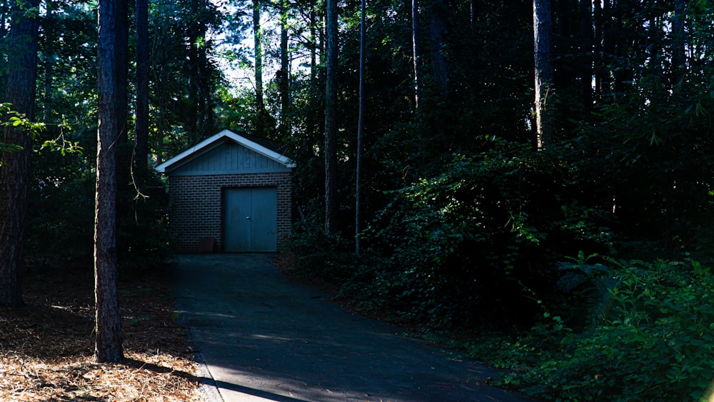 brown wooden house in the middle of the forest