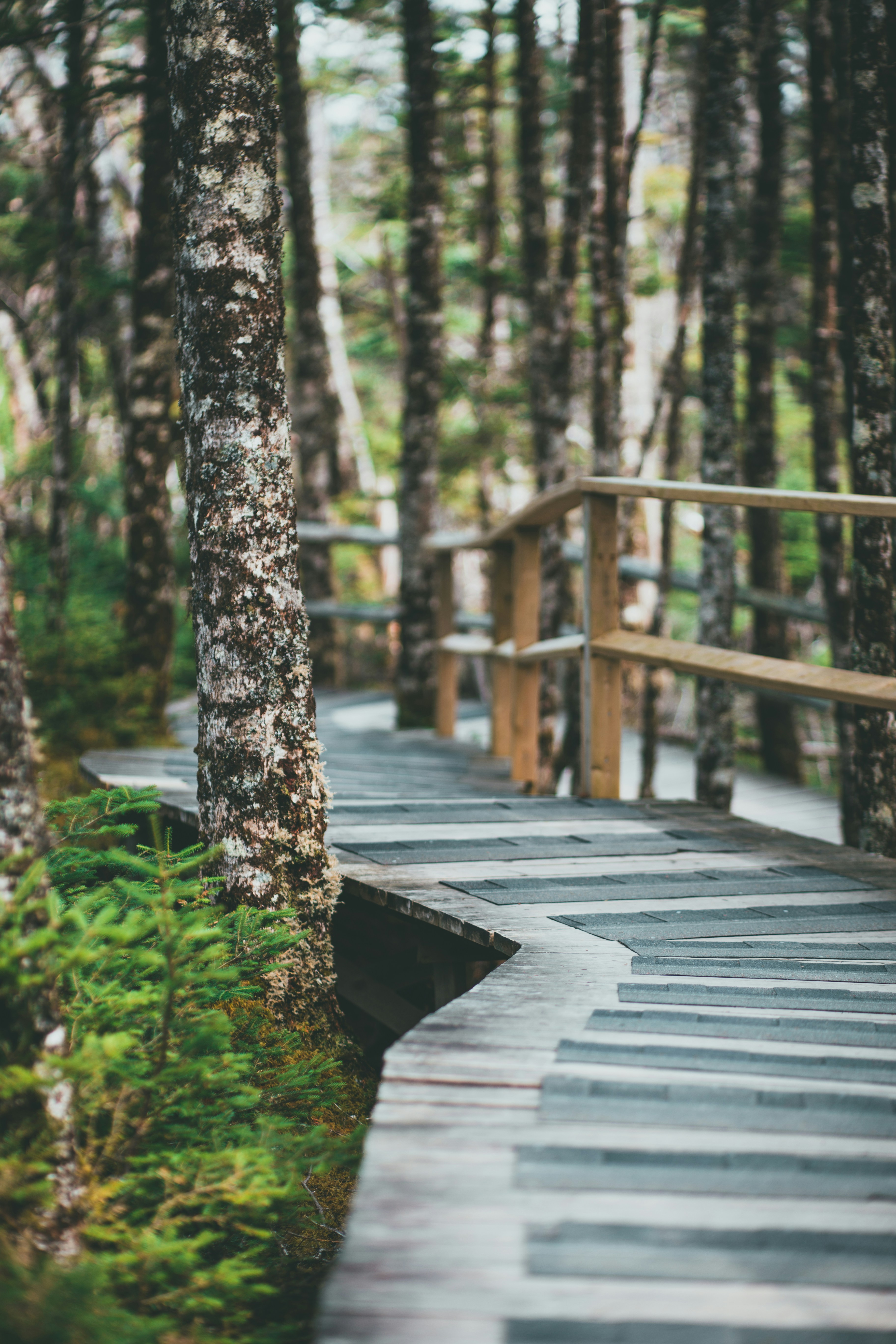 Photo by introspectivedsgn