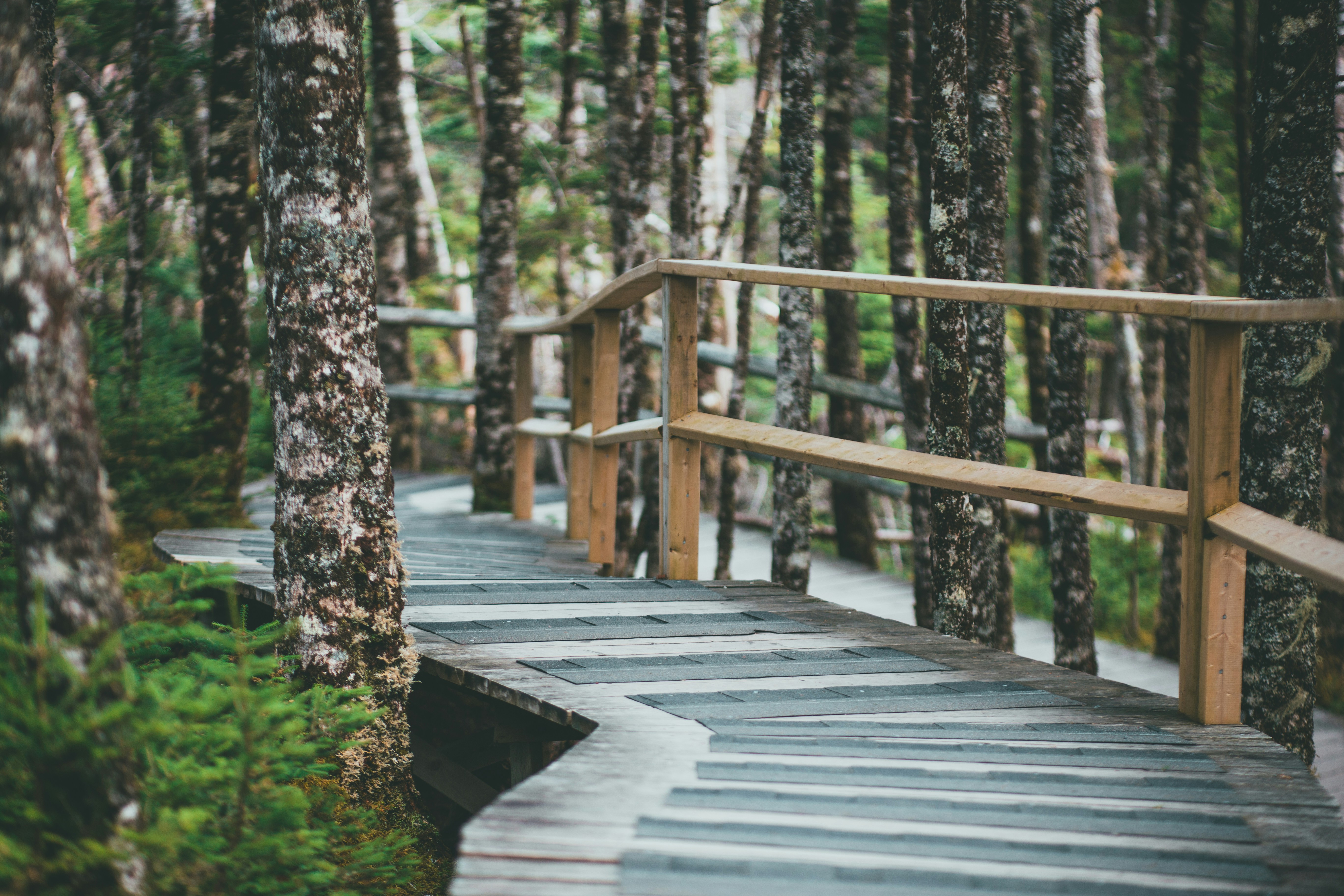 Photo by introspectivedsgn