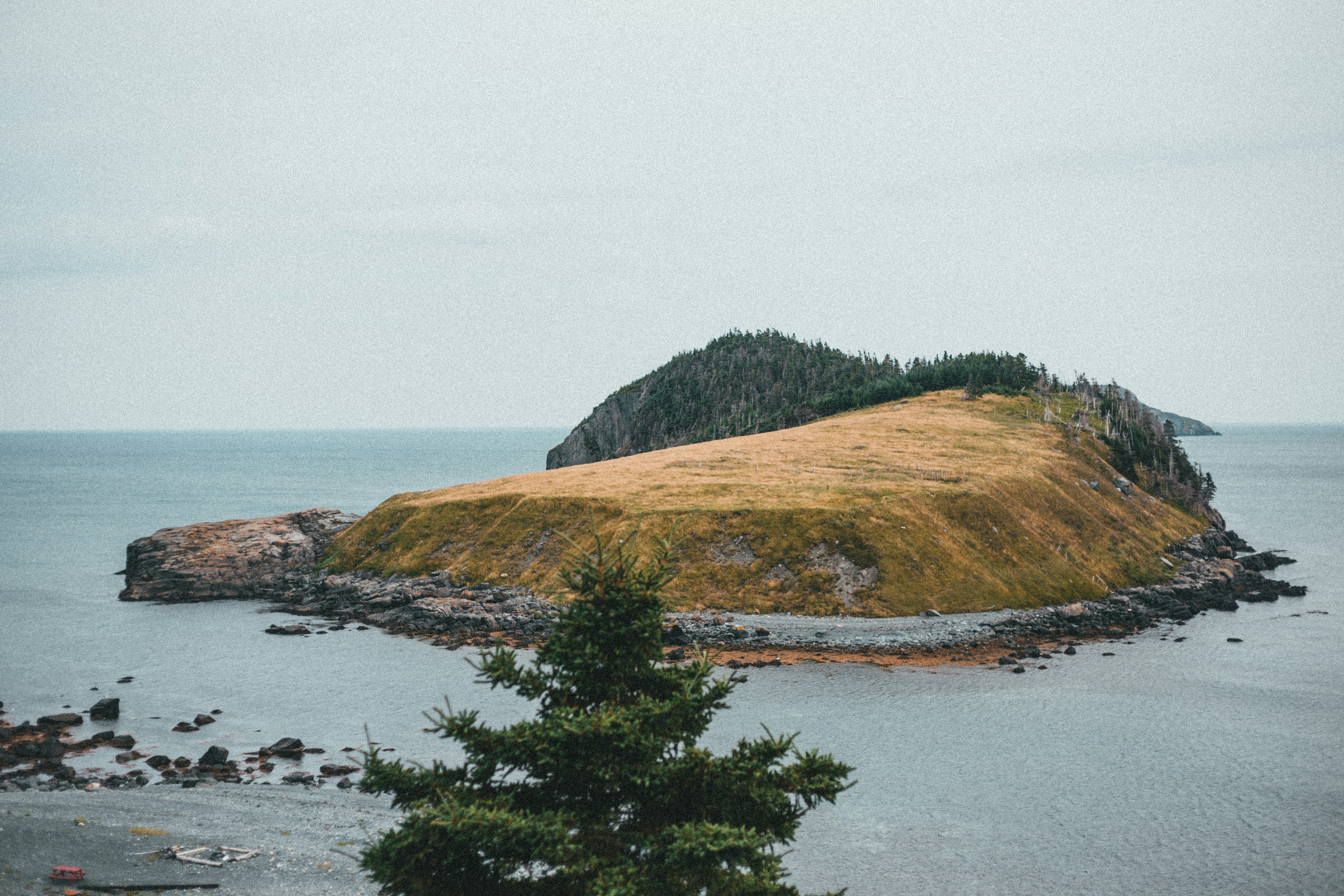 Photo by introspectivedsgn