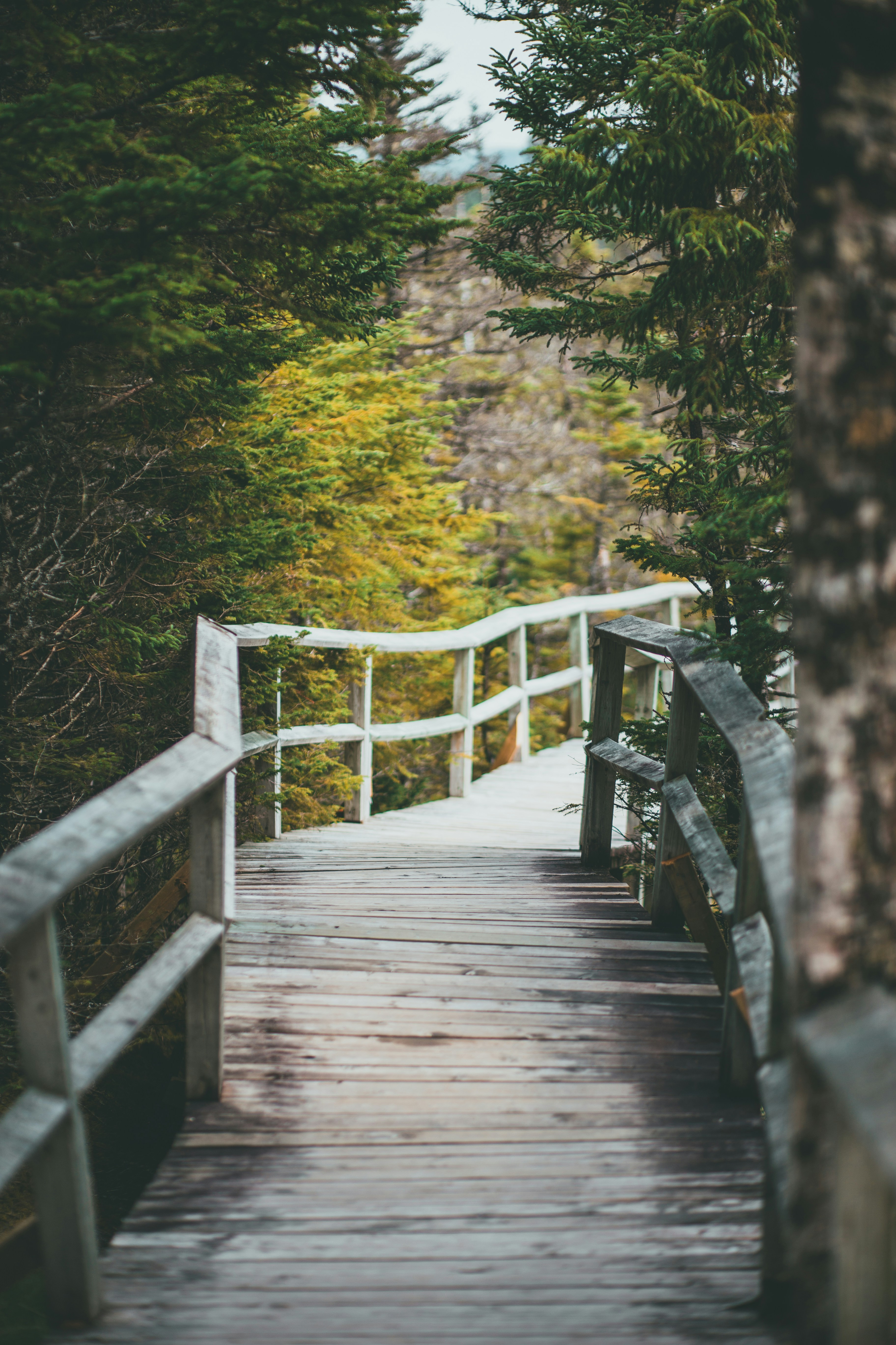 Photo by introspectivedsgn