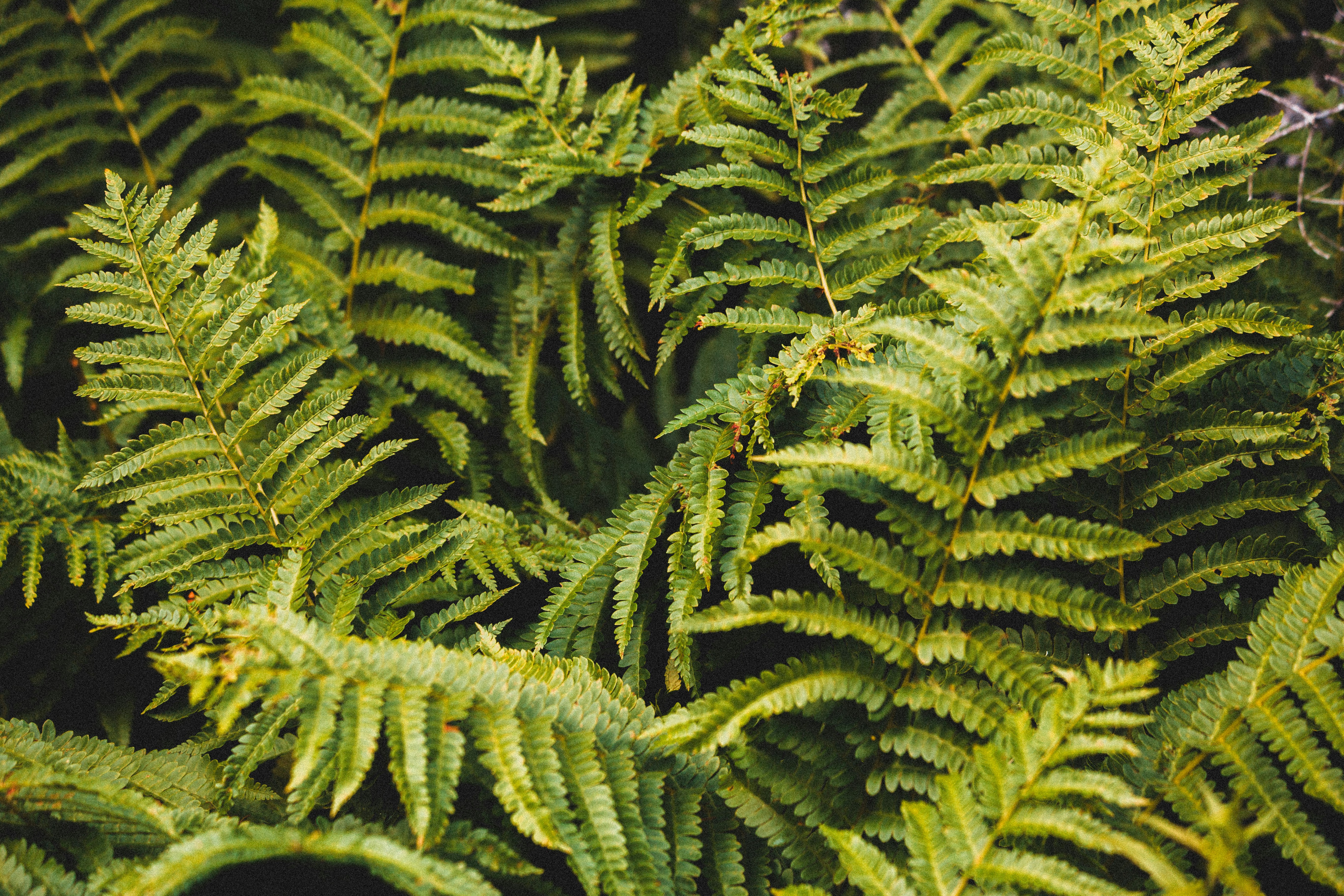 Photo by introspectivedsgn