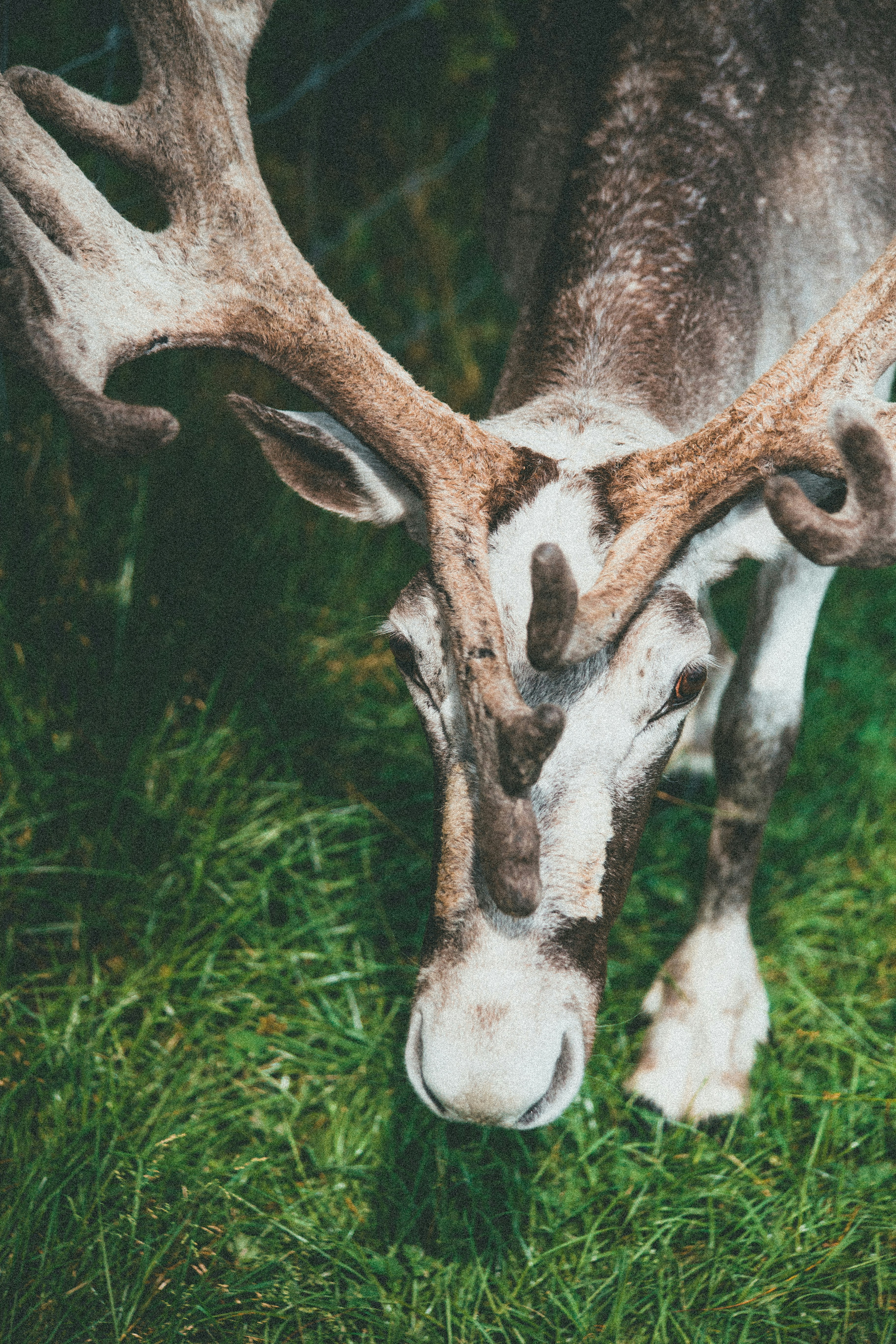 Photo by introspectivedsgn