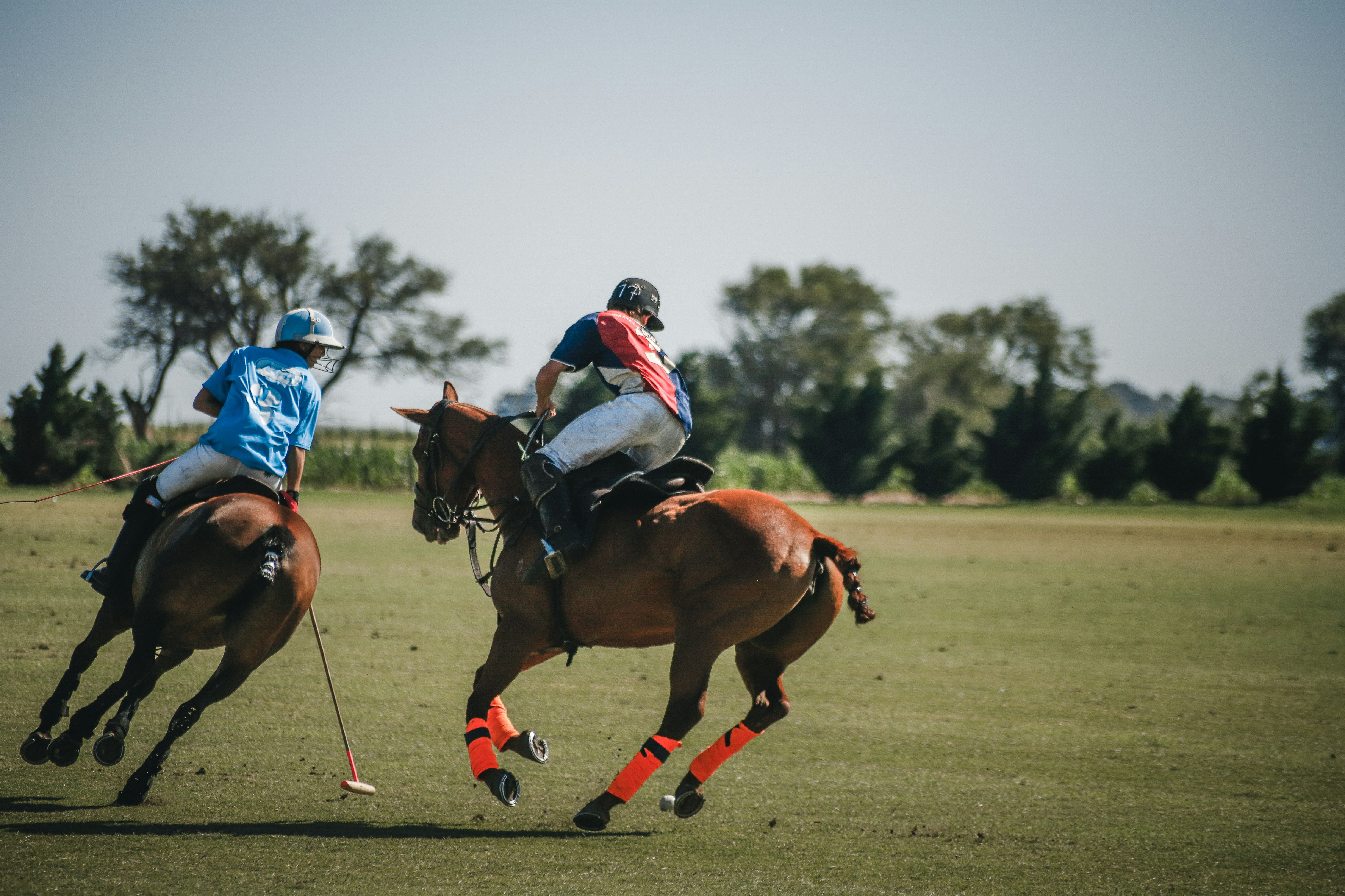 2 men riding horses on green grass field during daytime