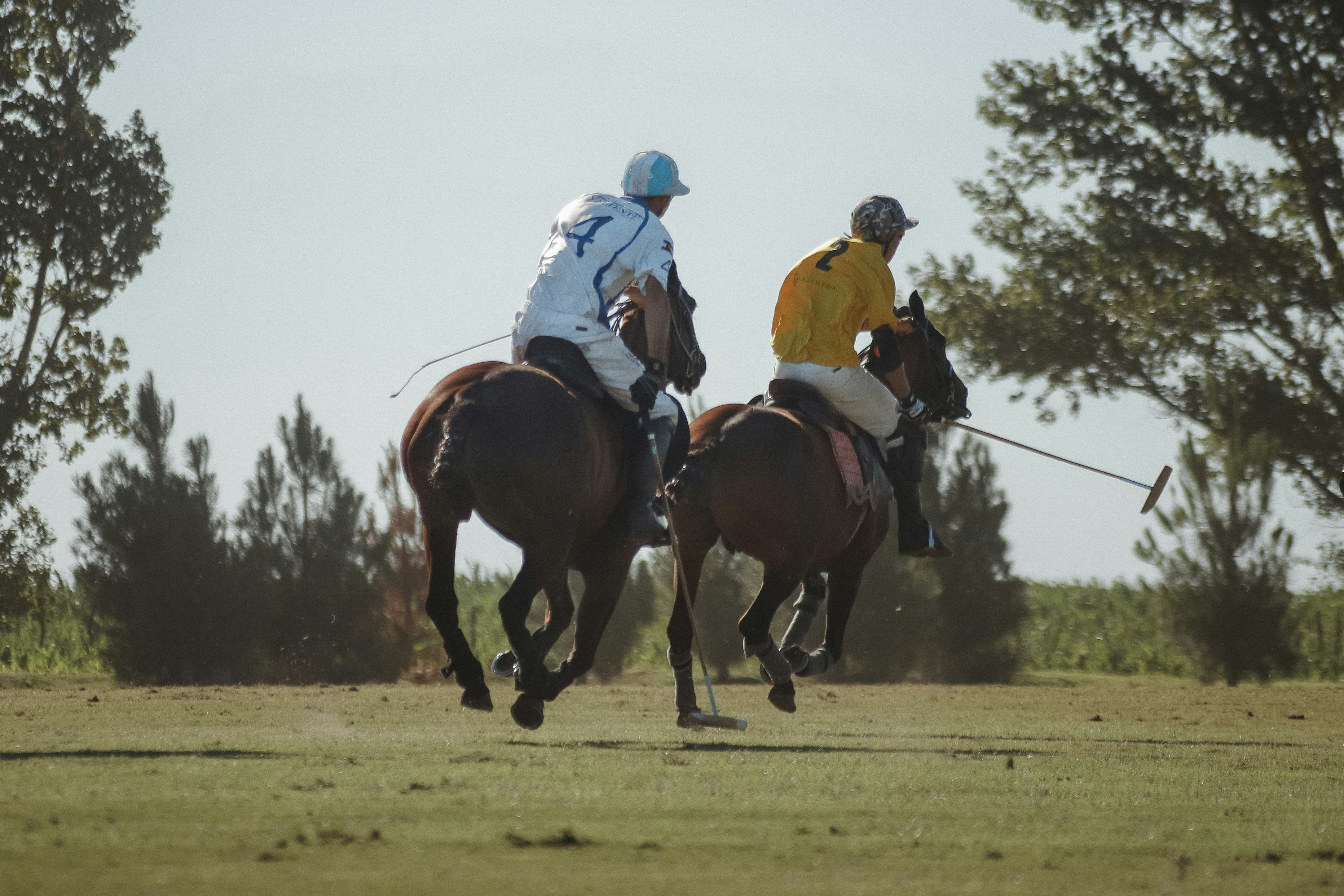 2 men riding horses during daytime
