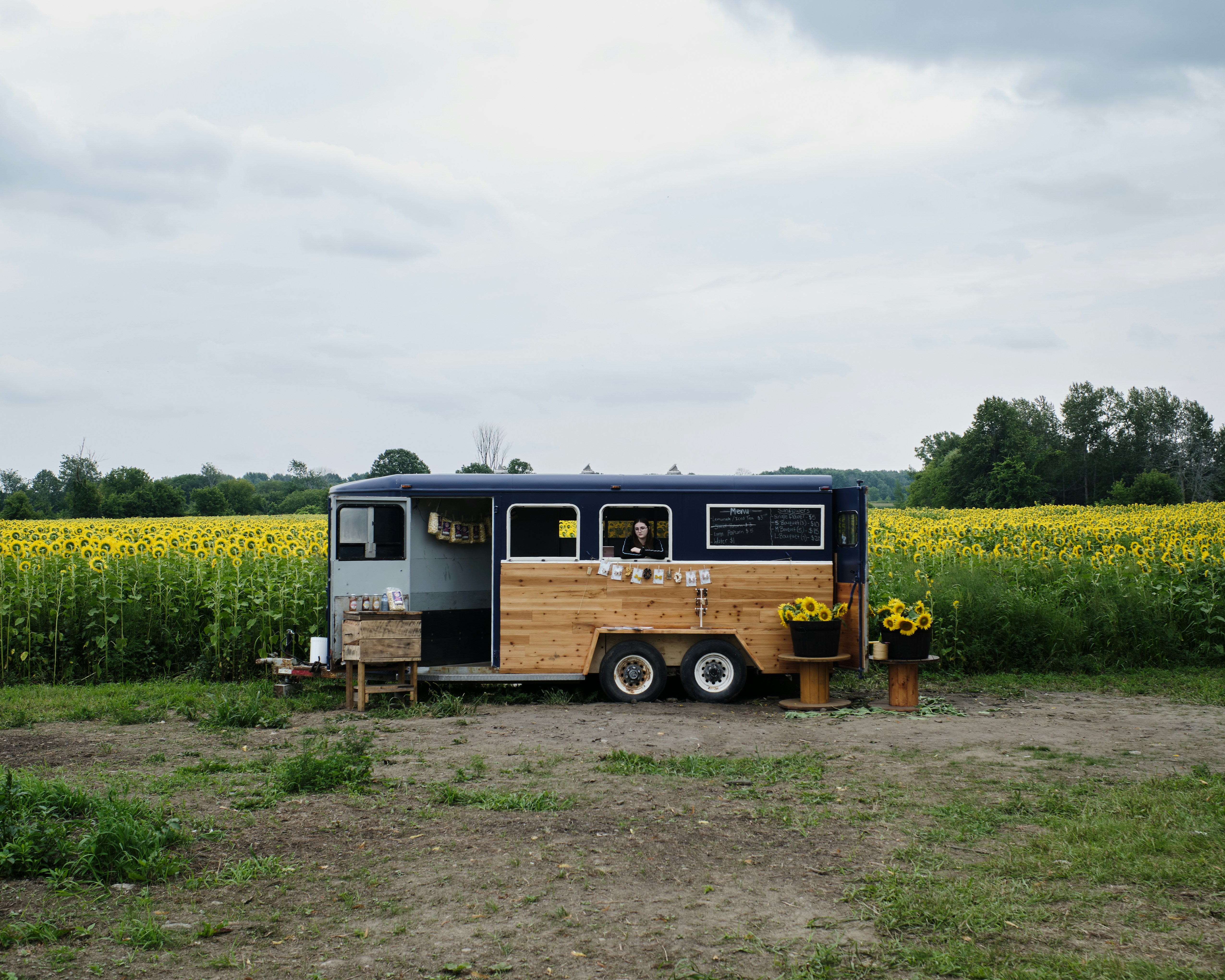 brown and black bus on green grass field under white clouds during daytime