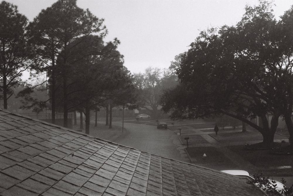 grayscale photo of trees and road