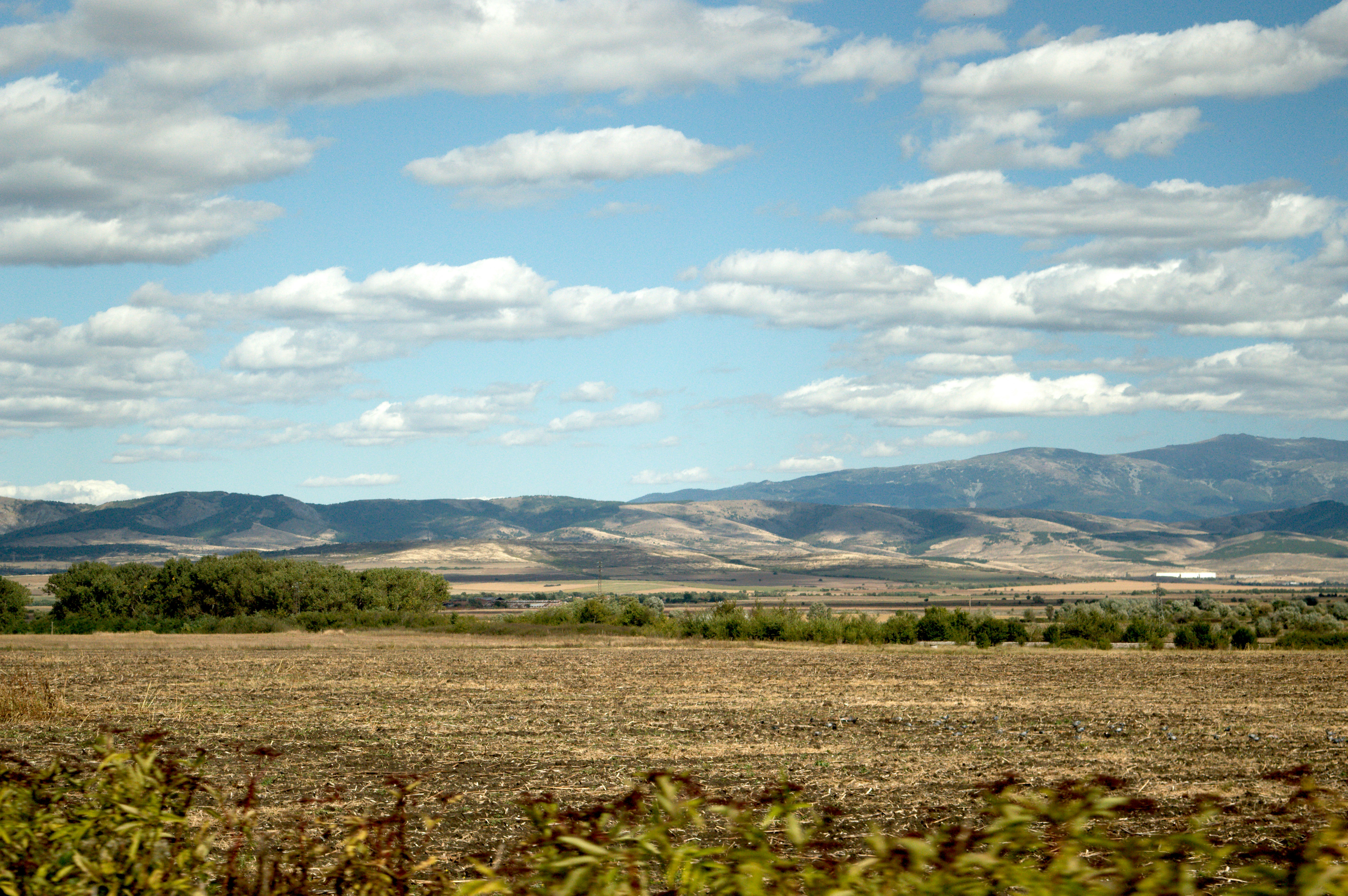 a large open field with mountains in the background