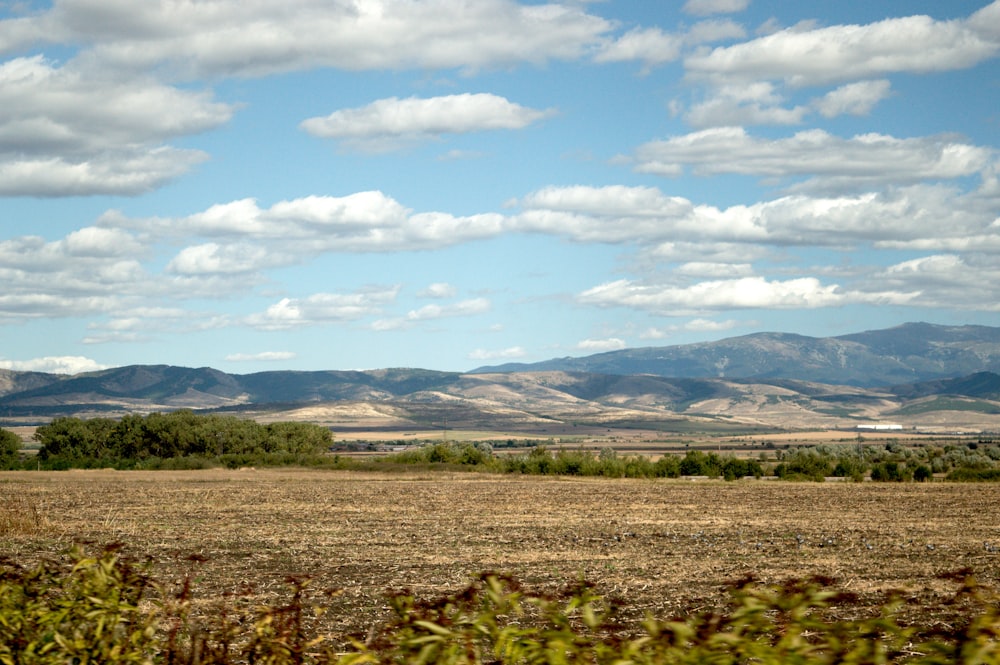 a large open field with mountains in the background