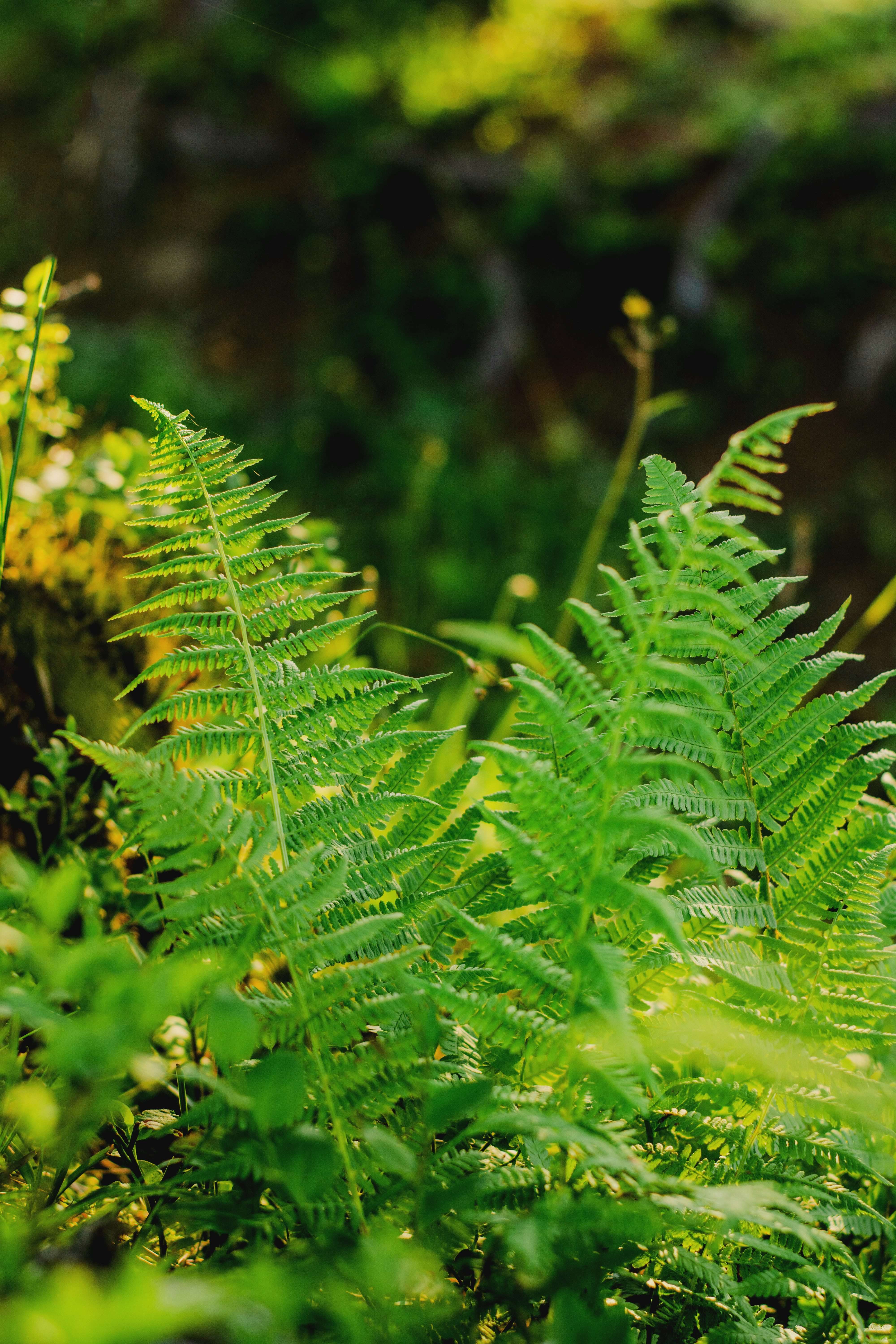 Photo by eugenivy_now