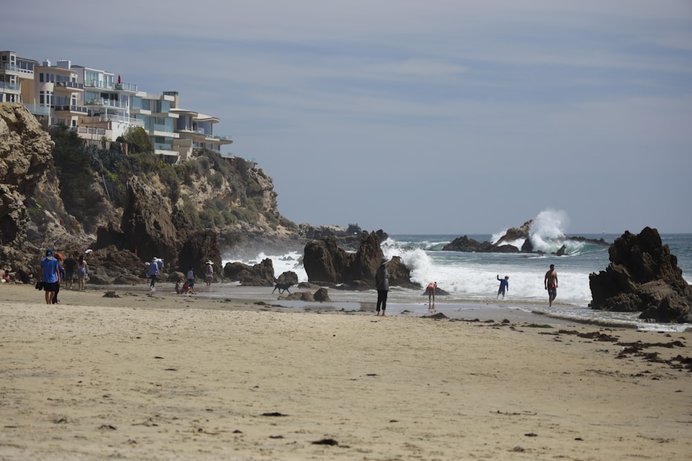 people on beach during daytime