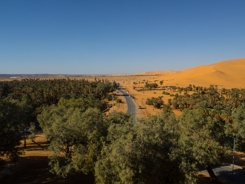 a dirt road in the middle of a desert