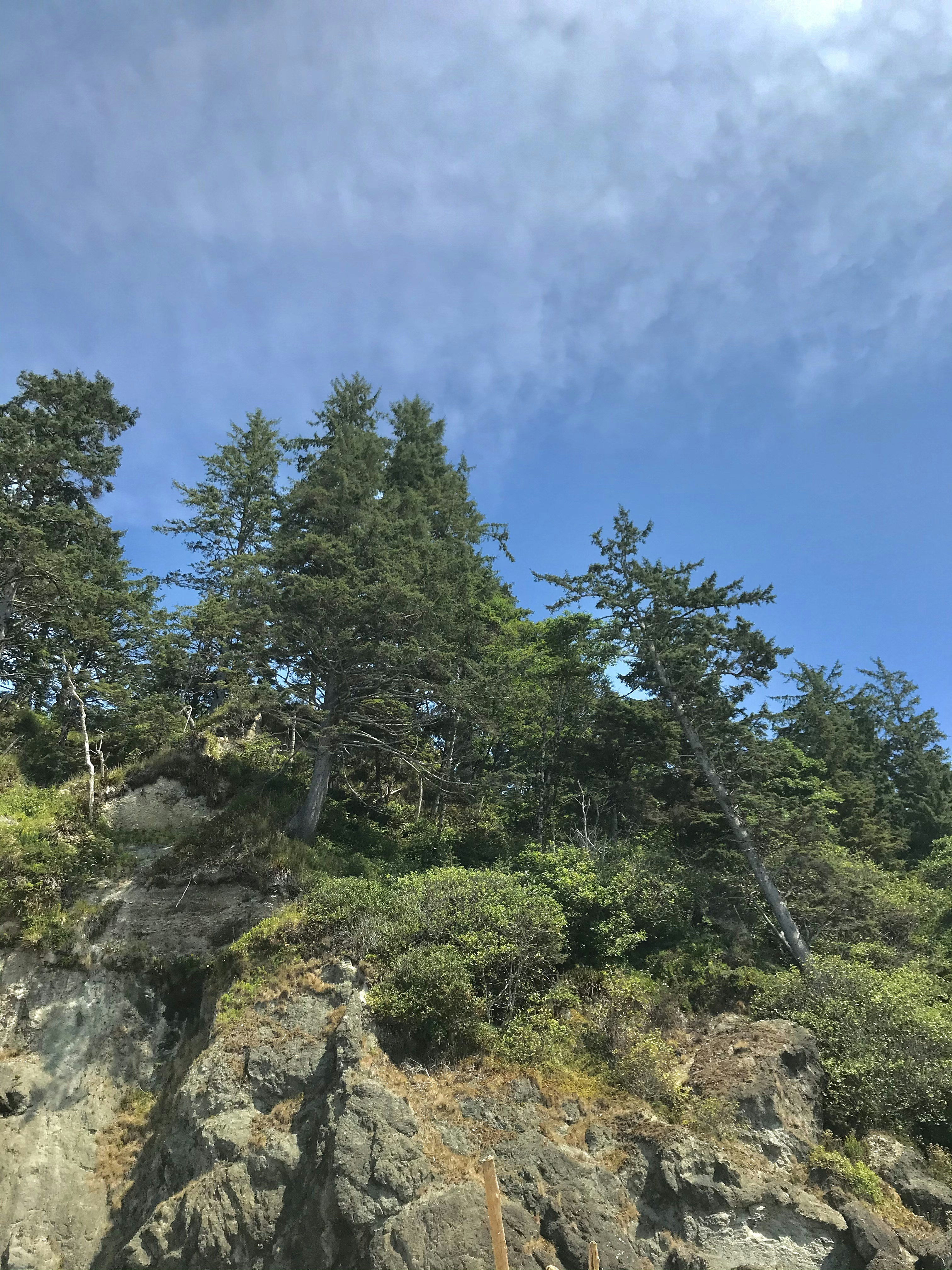 Photo by theodore_wathieu