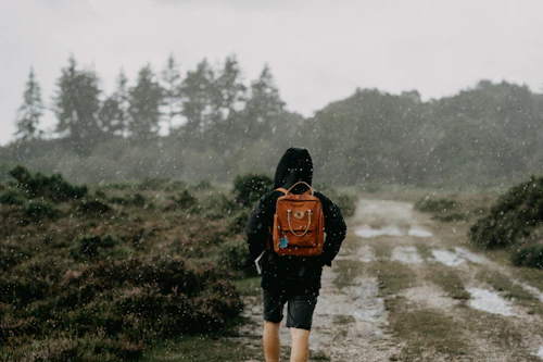 Daypack rain cover