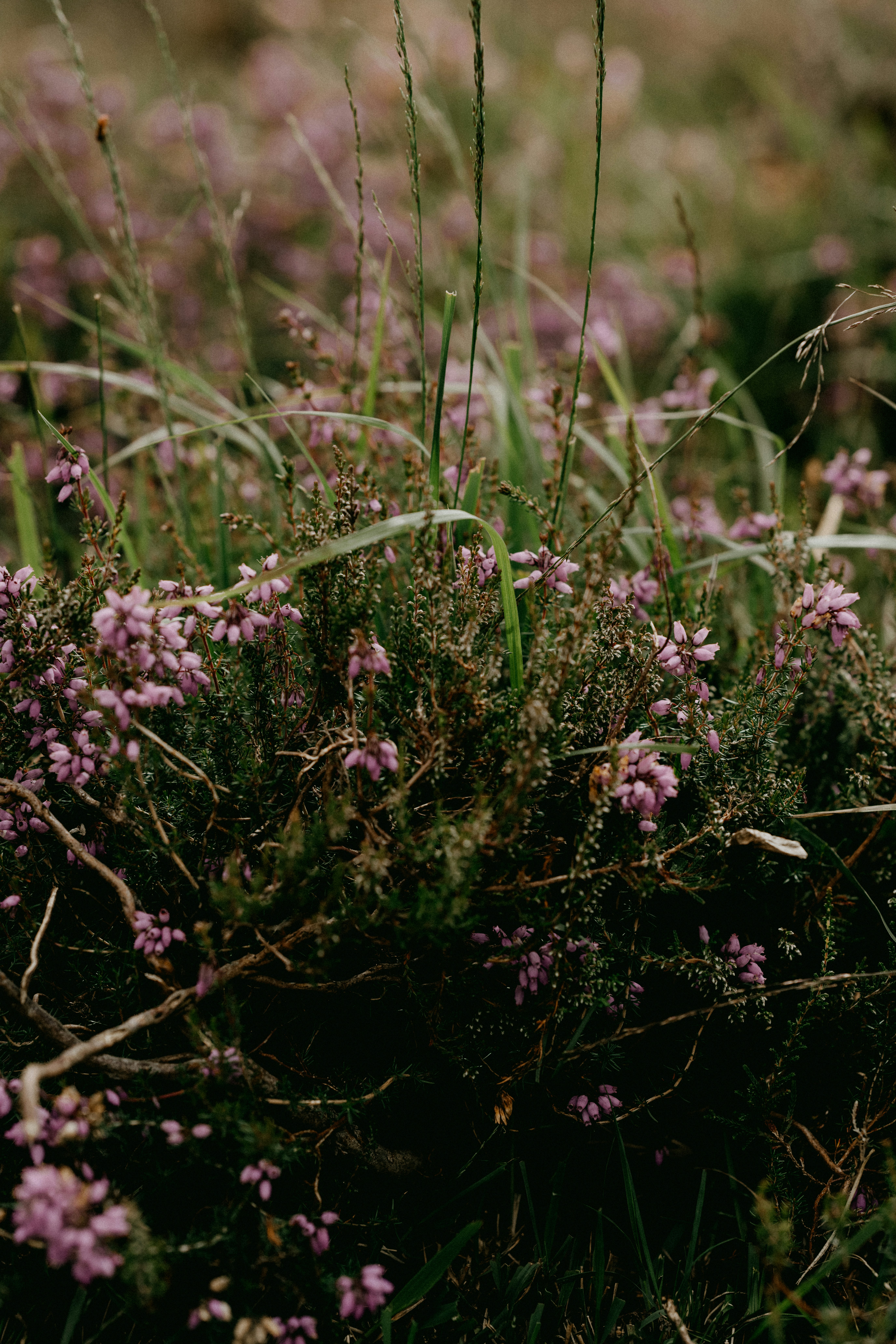 Photo by anniespratt