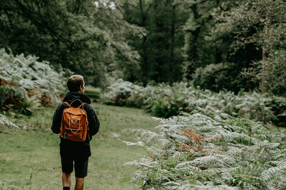 man in black and orange backpack walking on green grass field during daytime