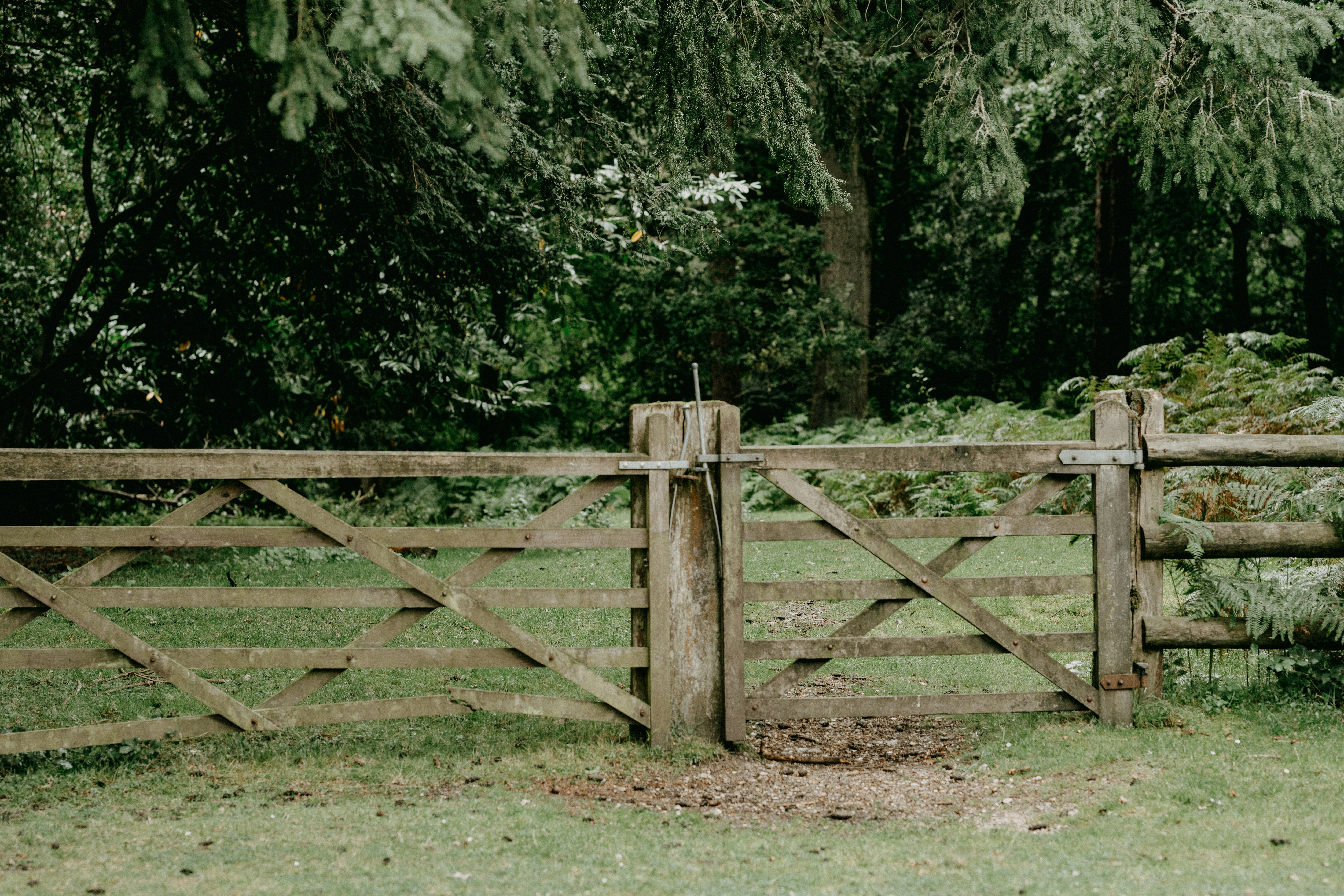 brown wooden fence near green trees during daytime