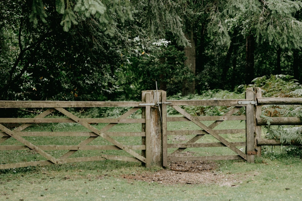 brown wooden fence near green trees during daytime