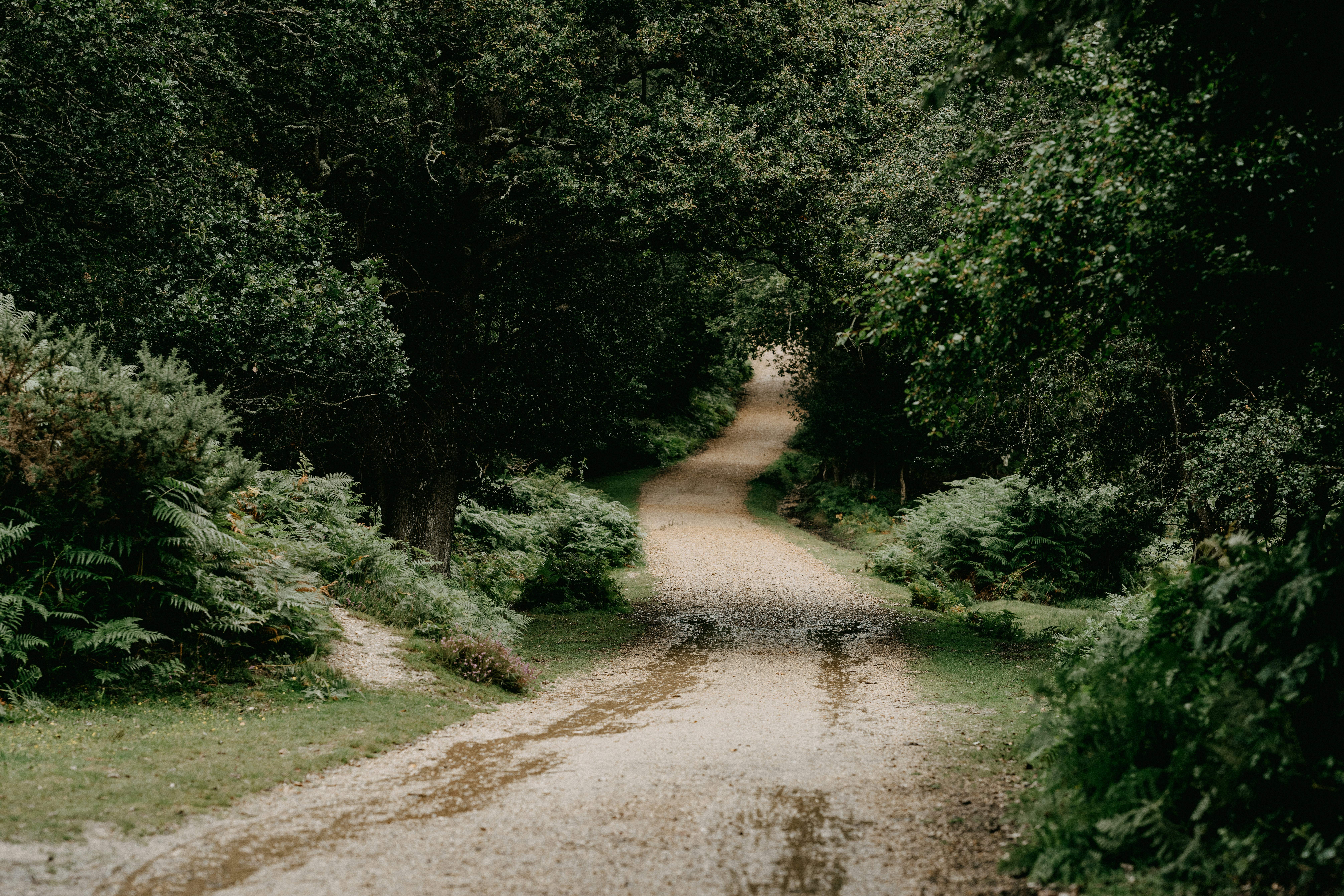 Photo by anniespratt