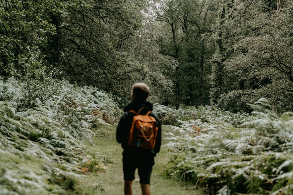 woman in black and brown backpack standing on forest during daytime