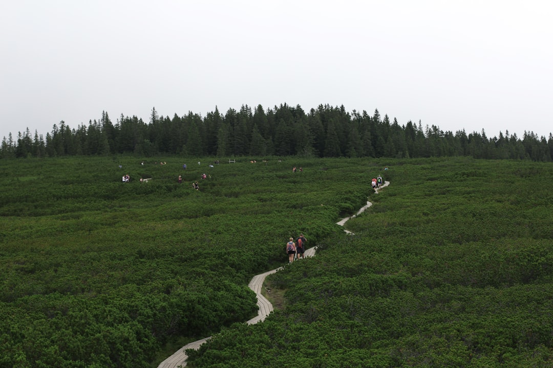 Plain photo spot LovrenÅ¡ka jezera Podhom