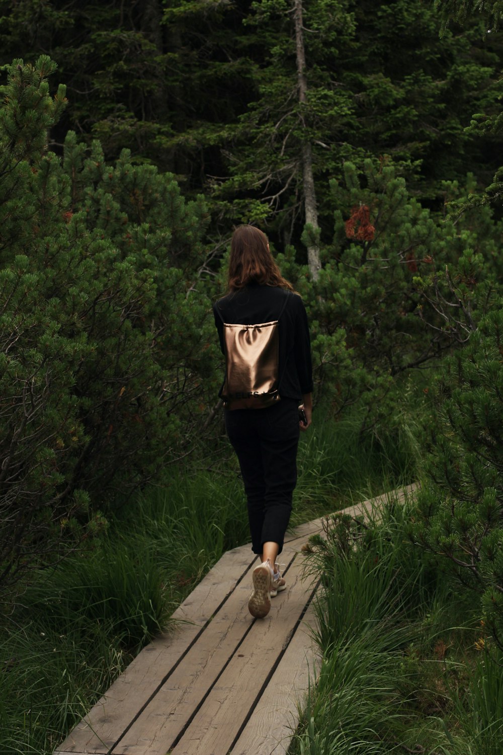 woman in black and white long sleeve shirt and black pants walking on wooden pathway