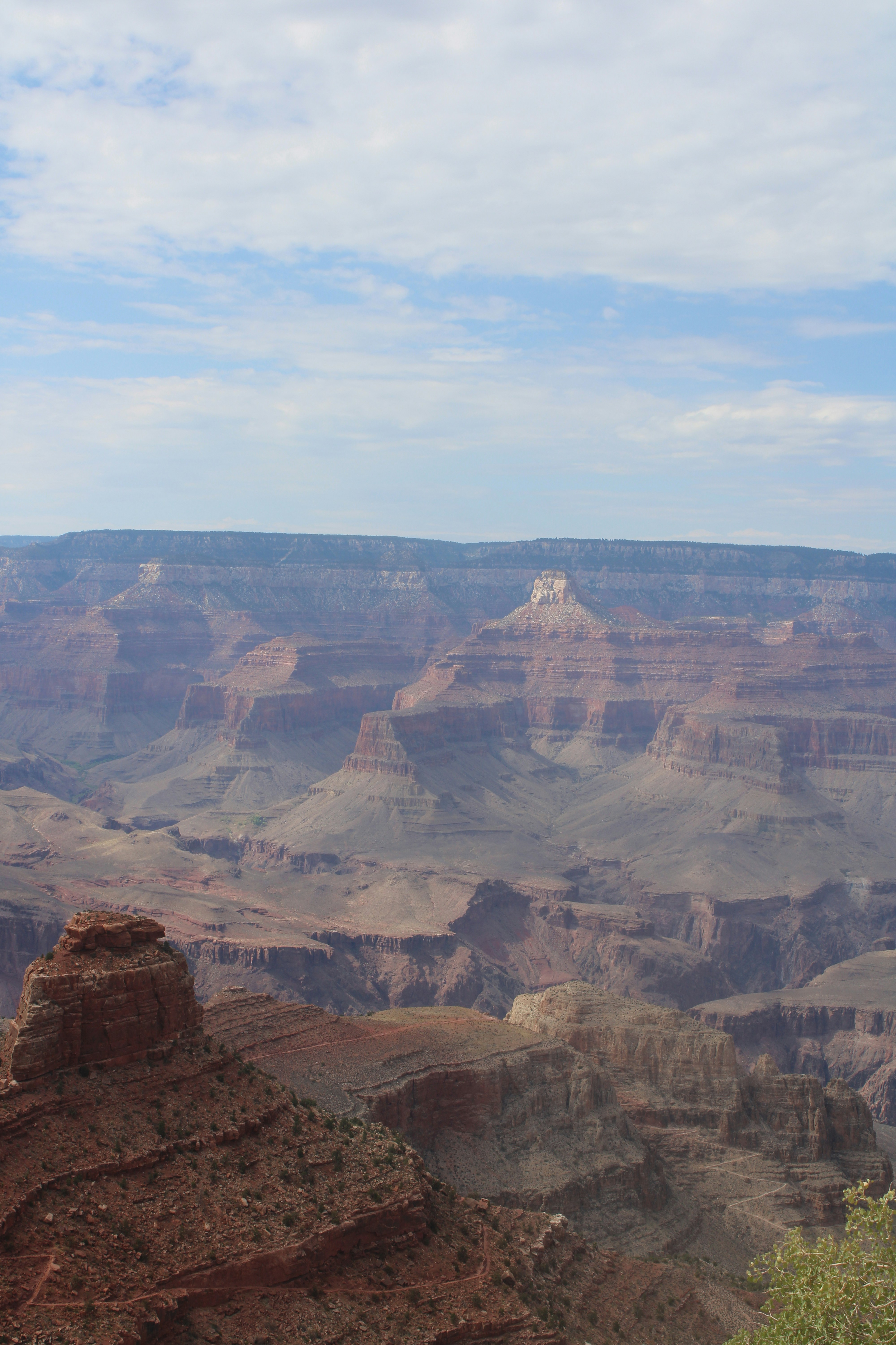 Photo by meshaxphotography