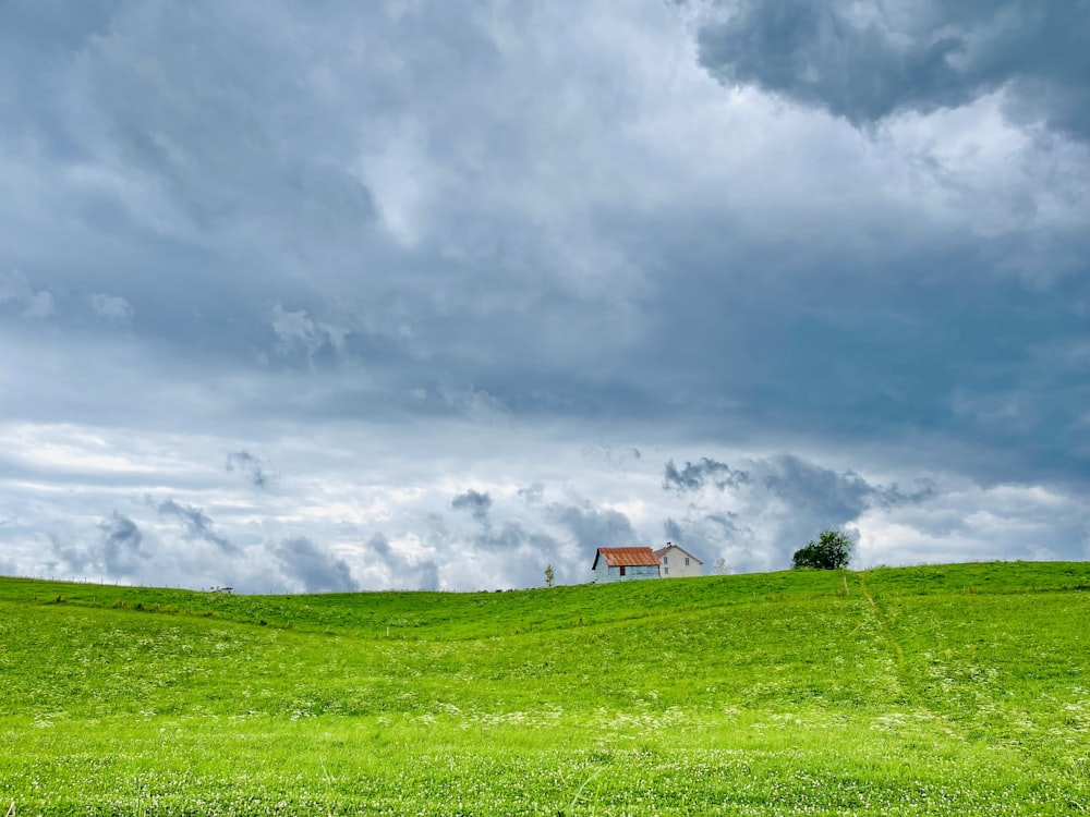 green grass field under cloudy sky during daytime