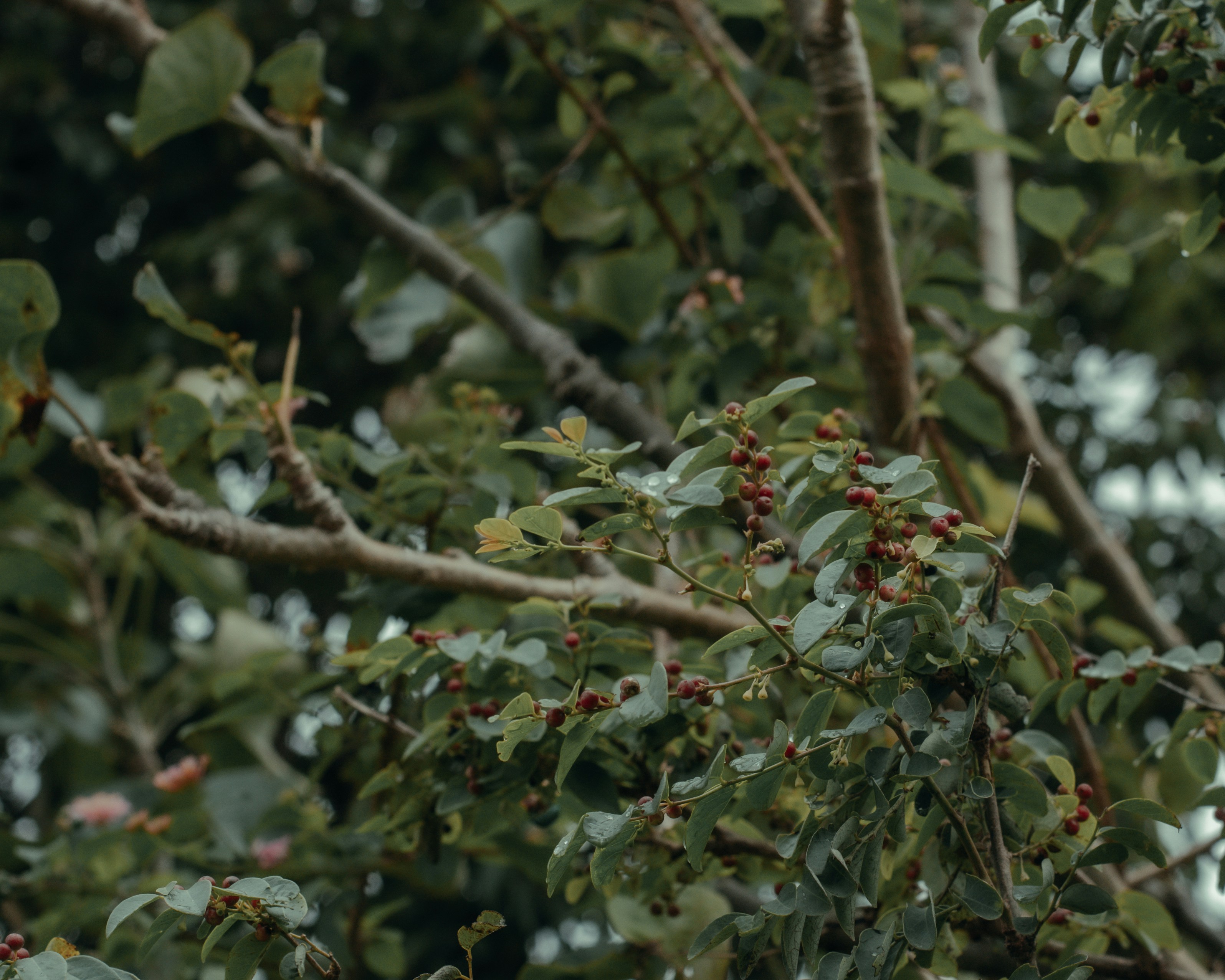 Photo by sharathsinstastories