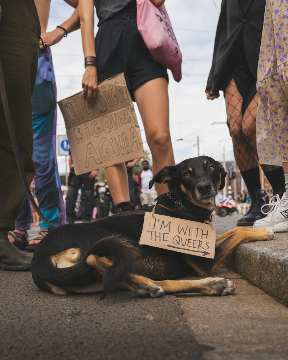 people standing beside black and tan short coat medium dog