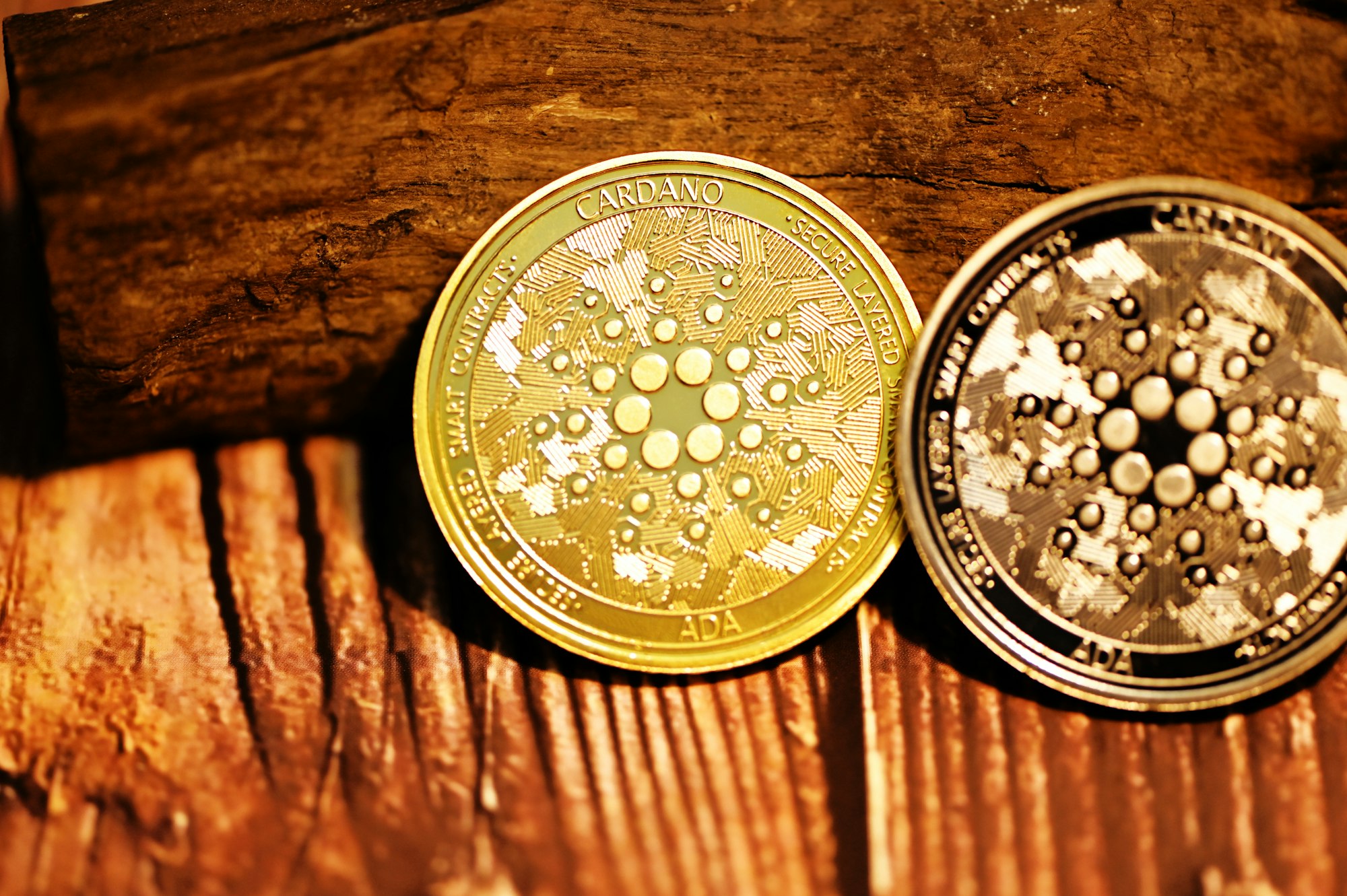 Two Cardano coins stand on the wood surface