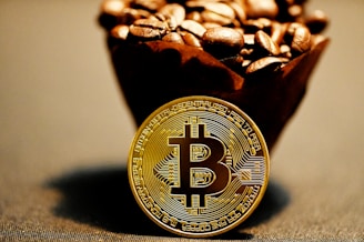 brown and gold round coin