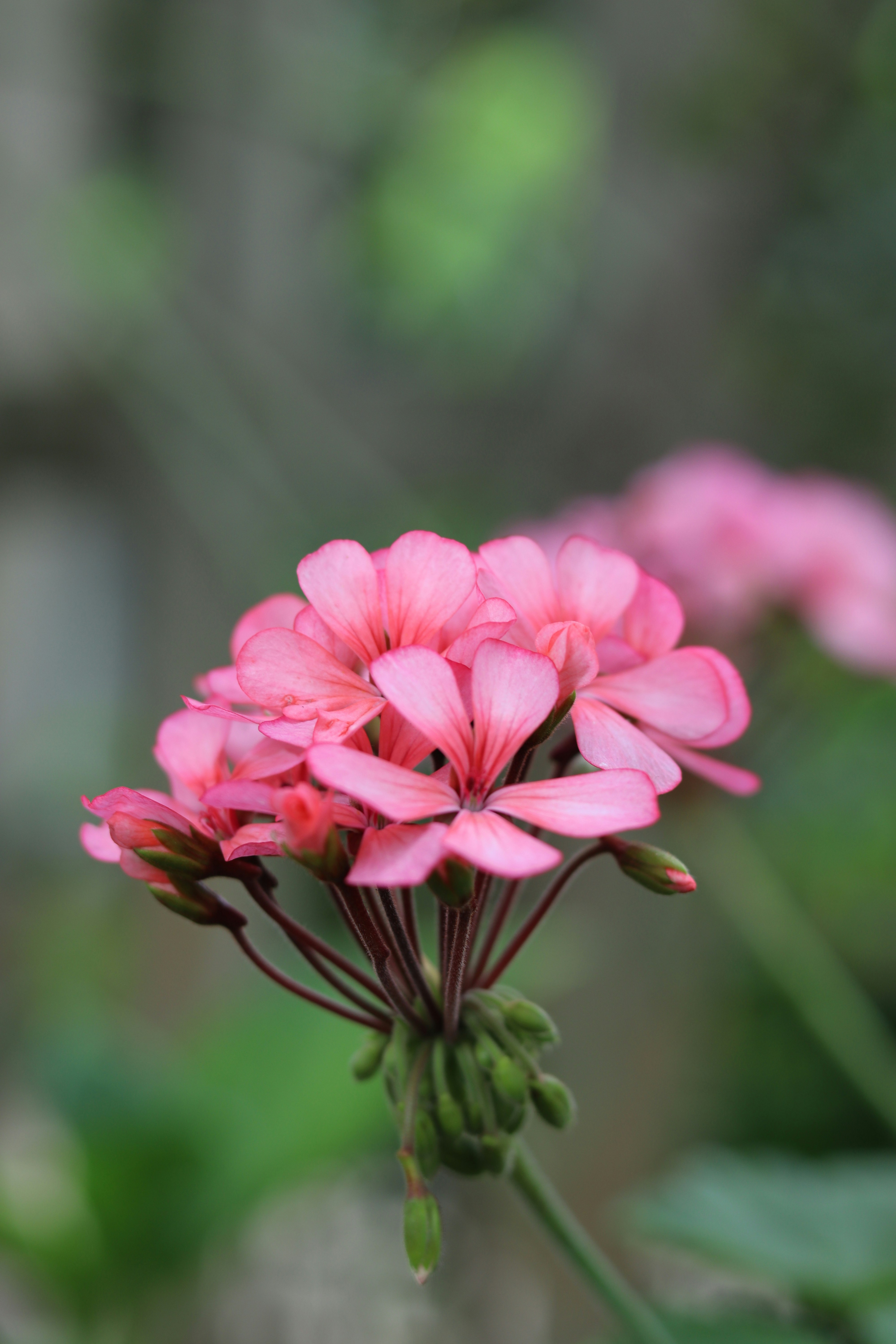 Photo by cattleya801