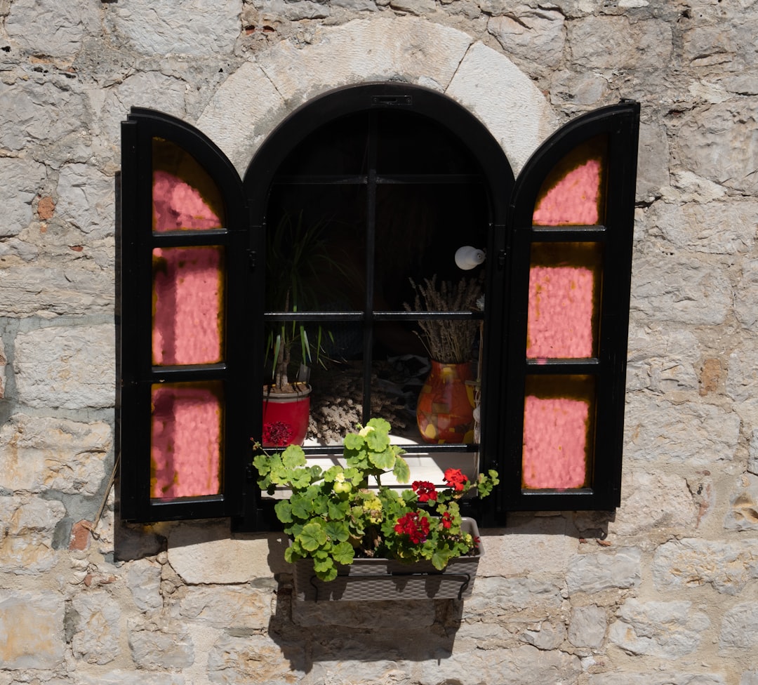 red wooden window with green and white flower
