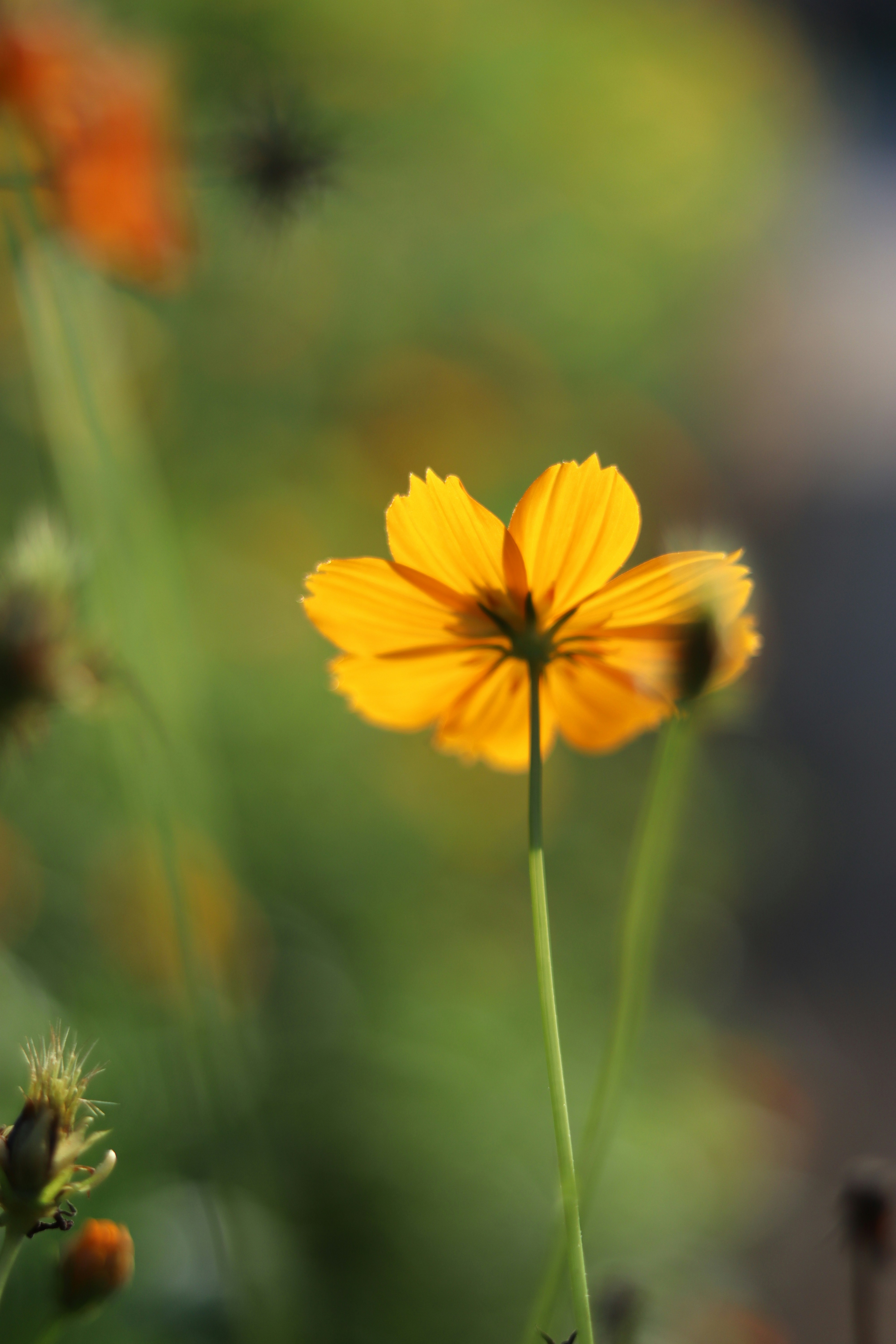 Photo by cattleya801