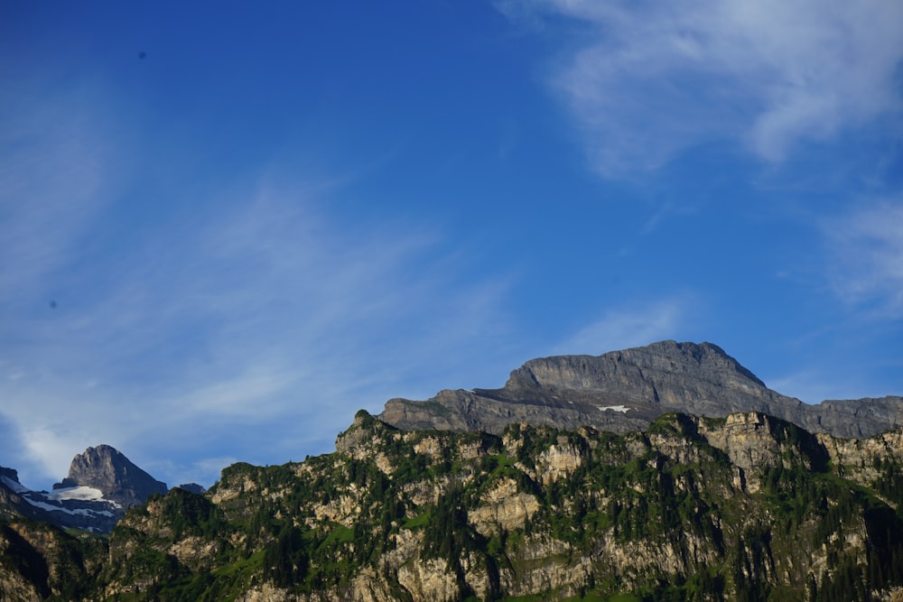 green trees on rocky mountain under blue sky during daytime