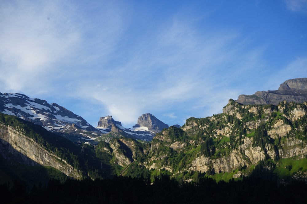 green trees on mountain under blue sky during daytime